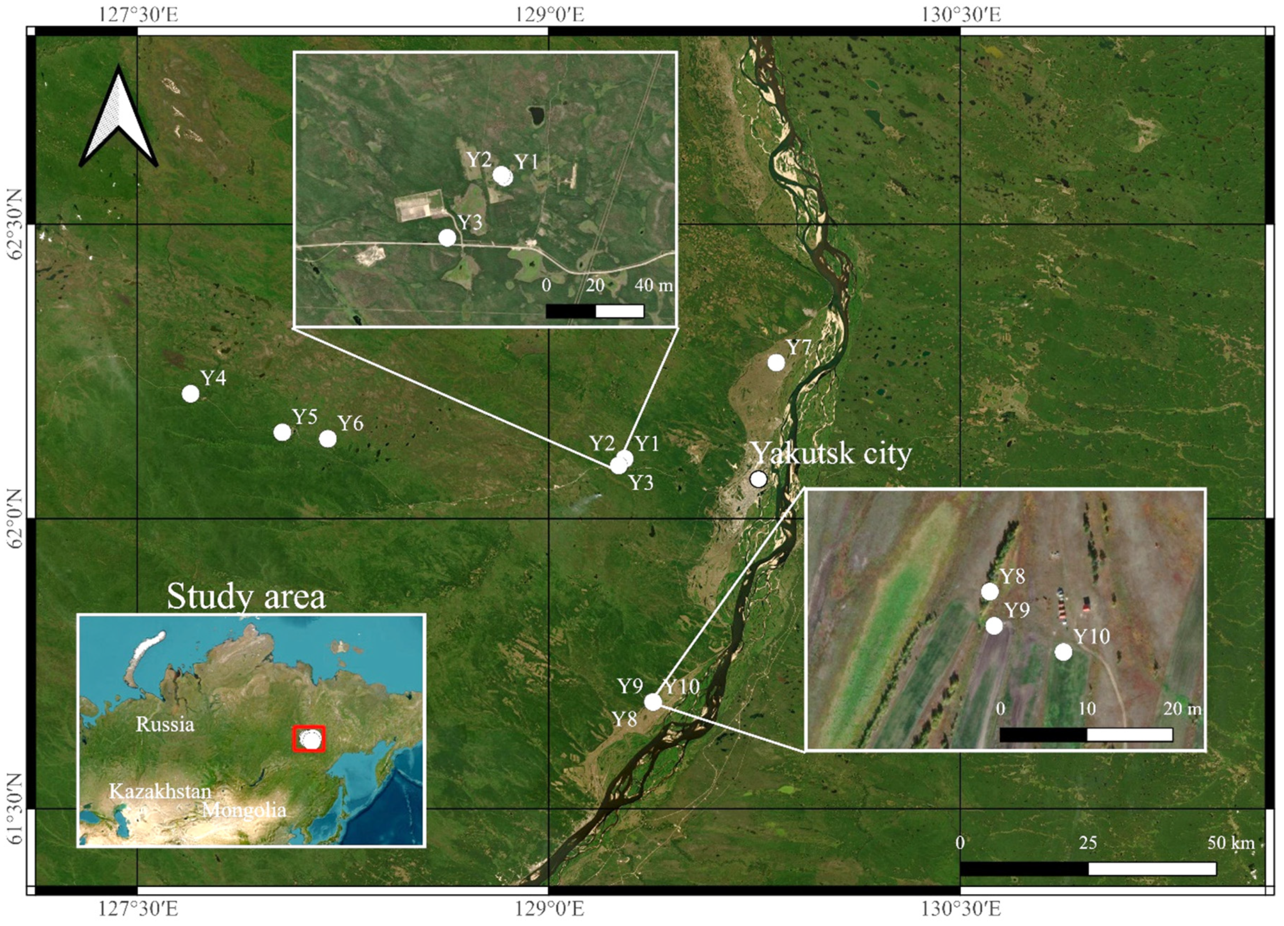 Molecules 29 03008 g004