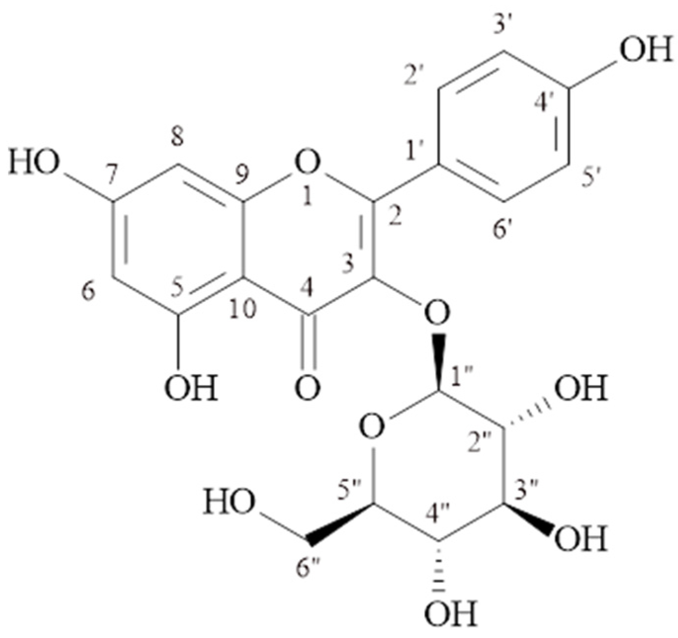 Molecules 29 03017 g001