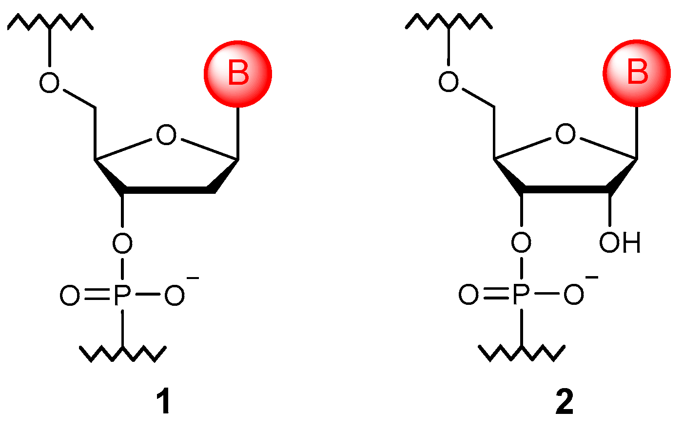 Molecules 29 03025 g001 Molecules 29 03025 g001