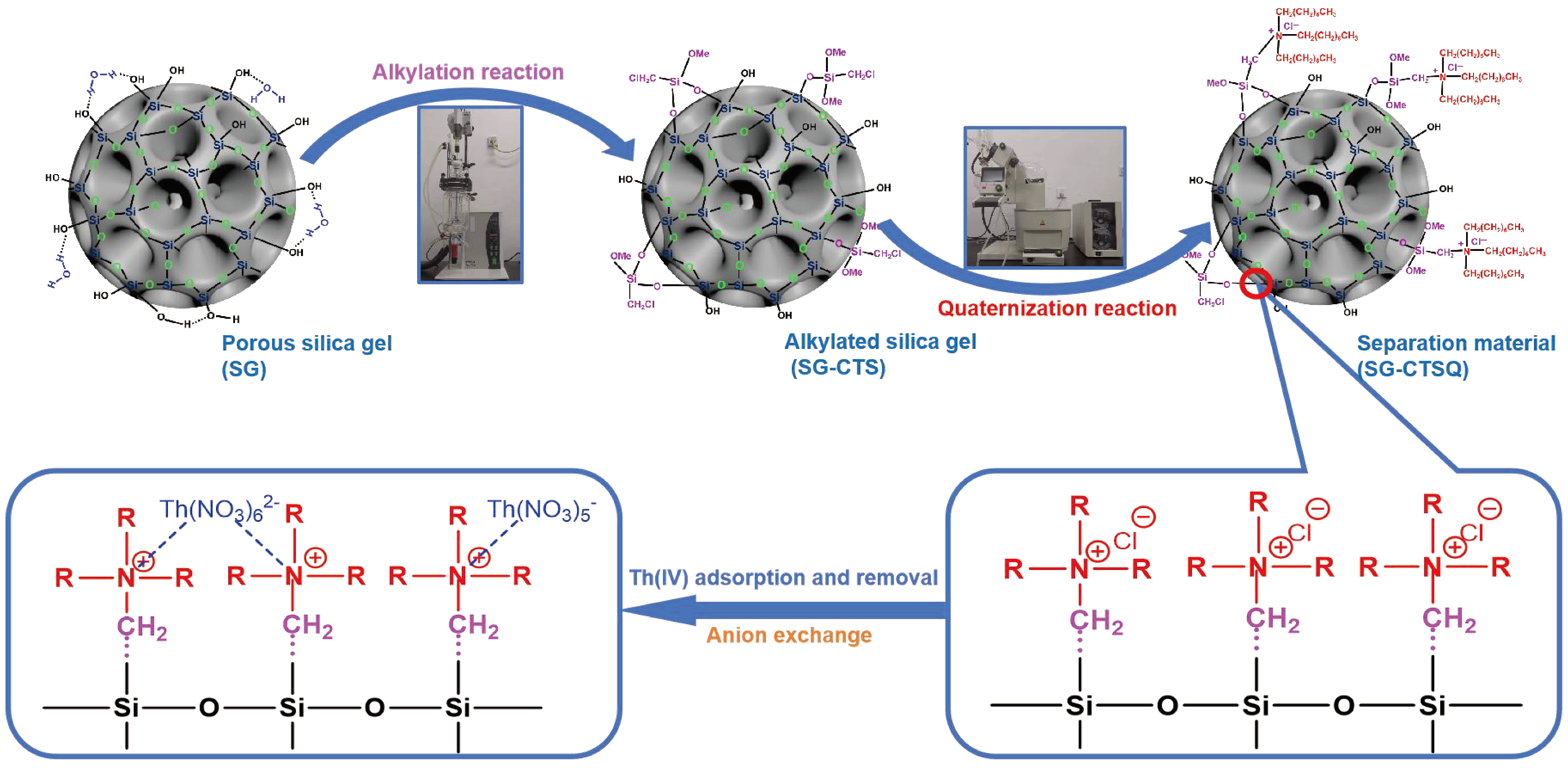 Molecules 29 03031 g001