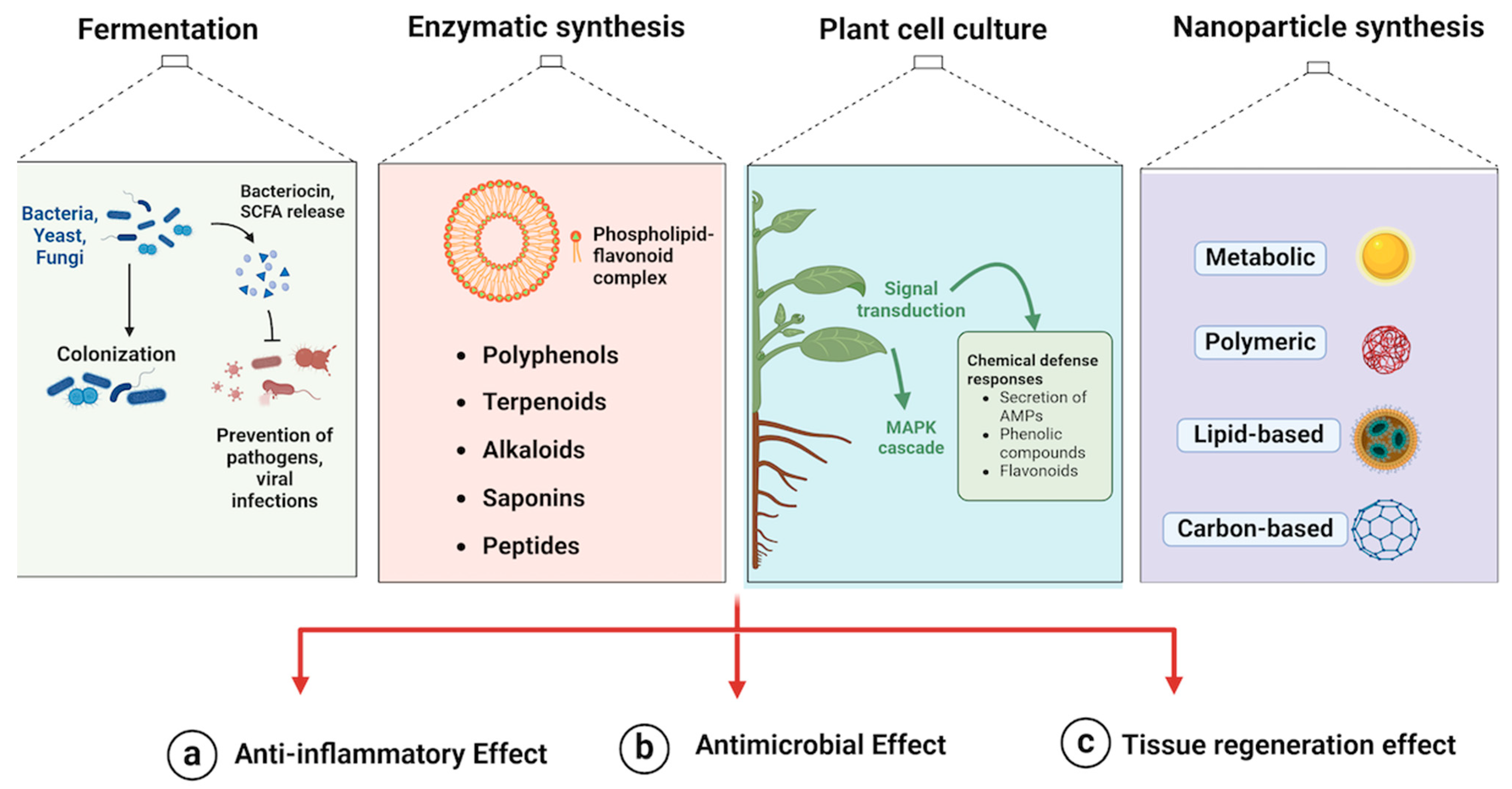 Molecules 29 03044 g001