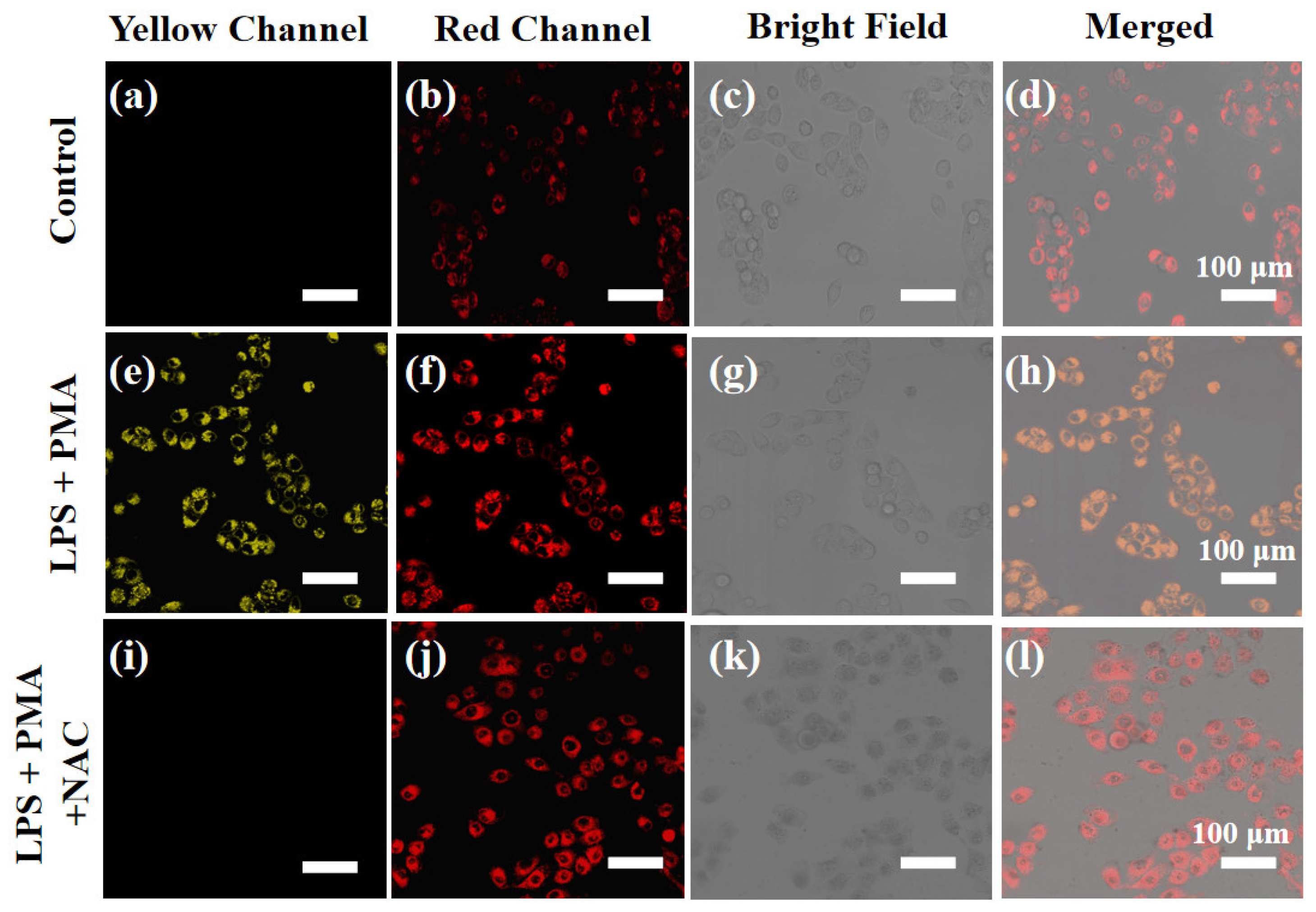 Molecules 29 03059 g007
