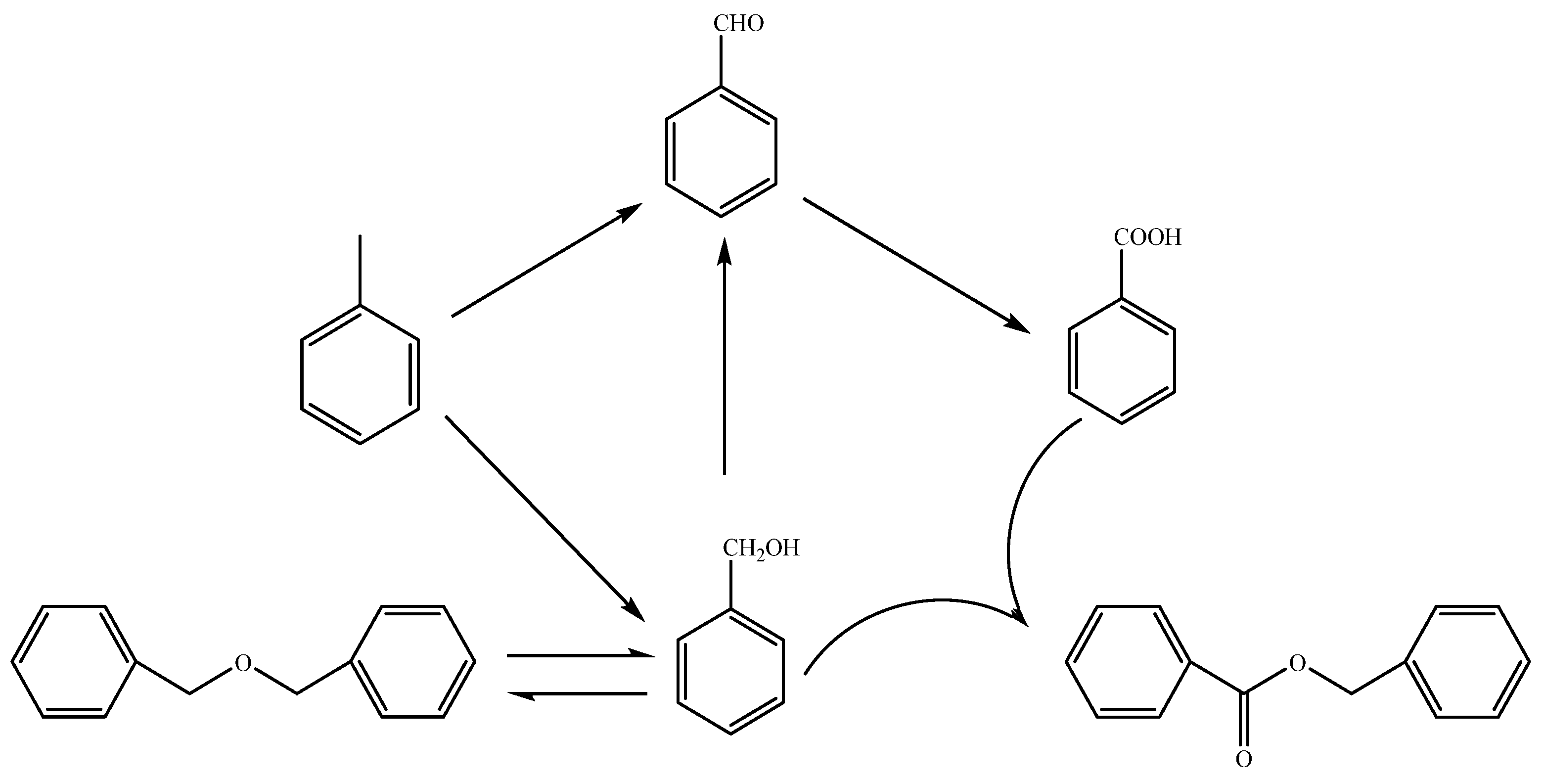 Molecules 29 03066 g005