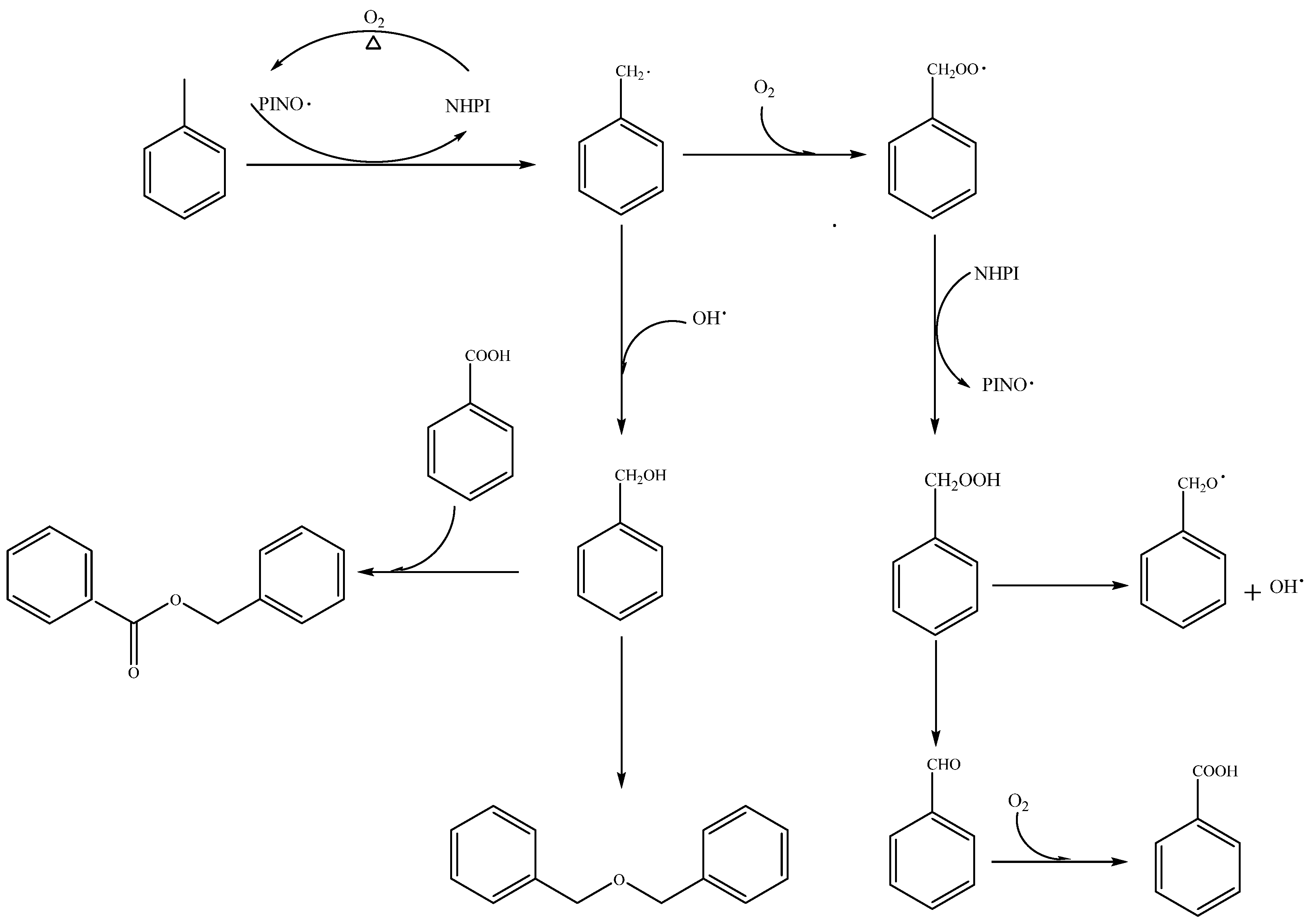 Molecules 29 03066 g006