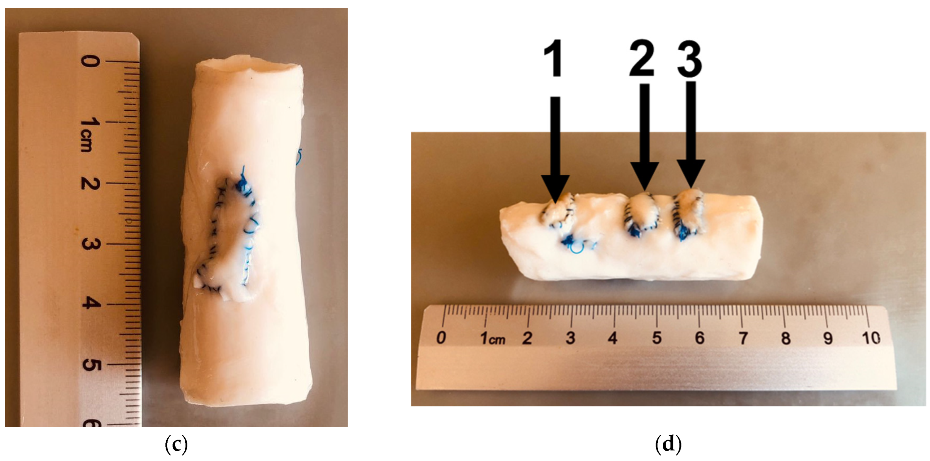 Molecules 29 03078 g003b
