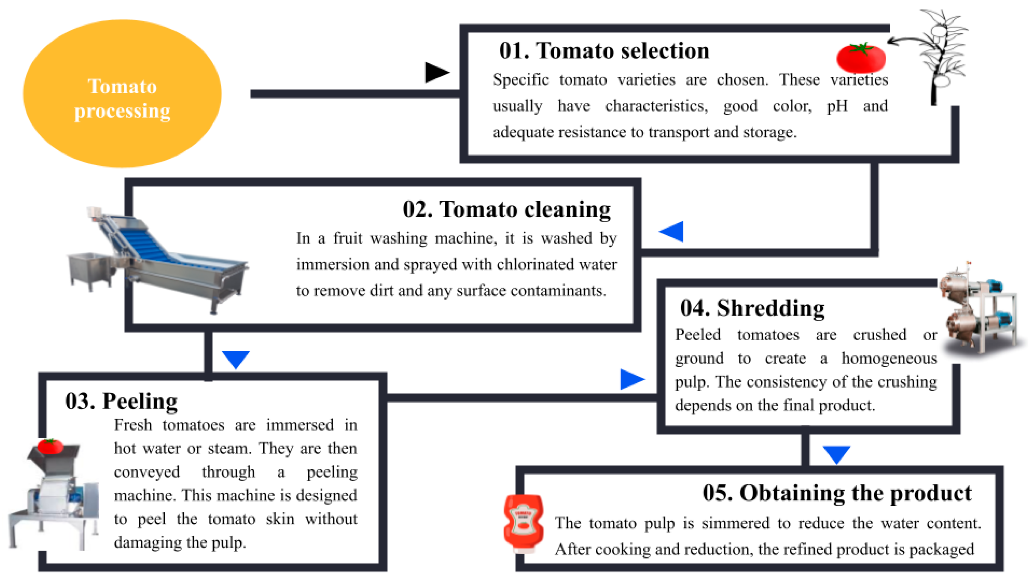 Molecules 29 03079 g003
