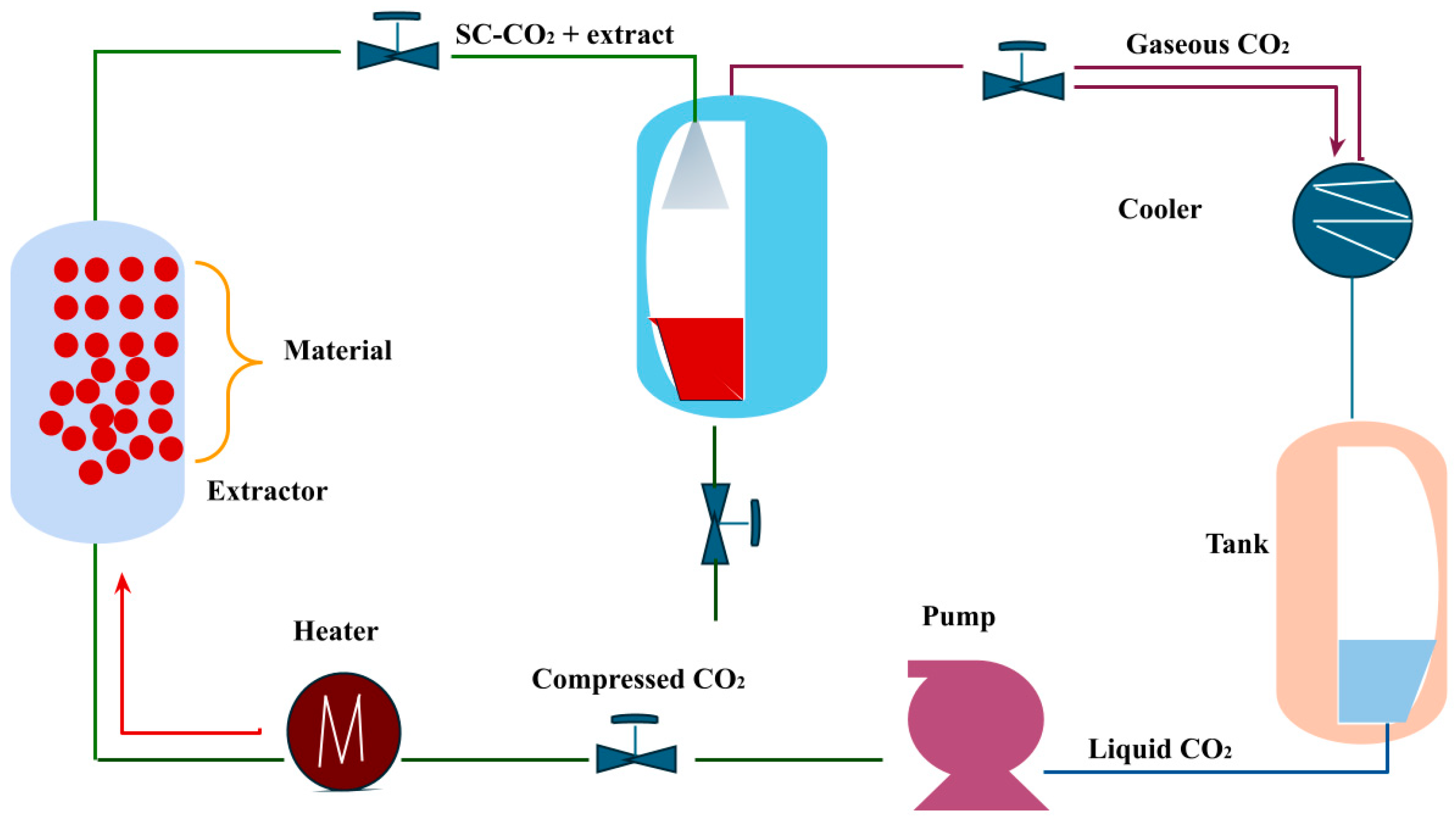 Molecules 29 03079 g006