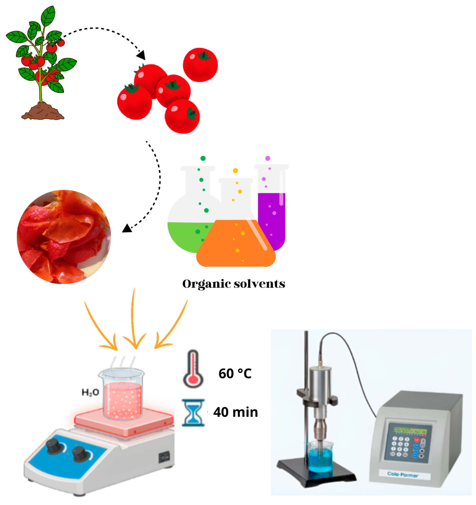 Molecules 29 03079 g008