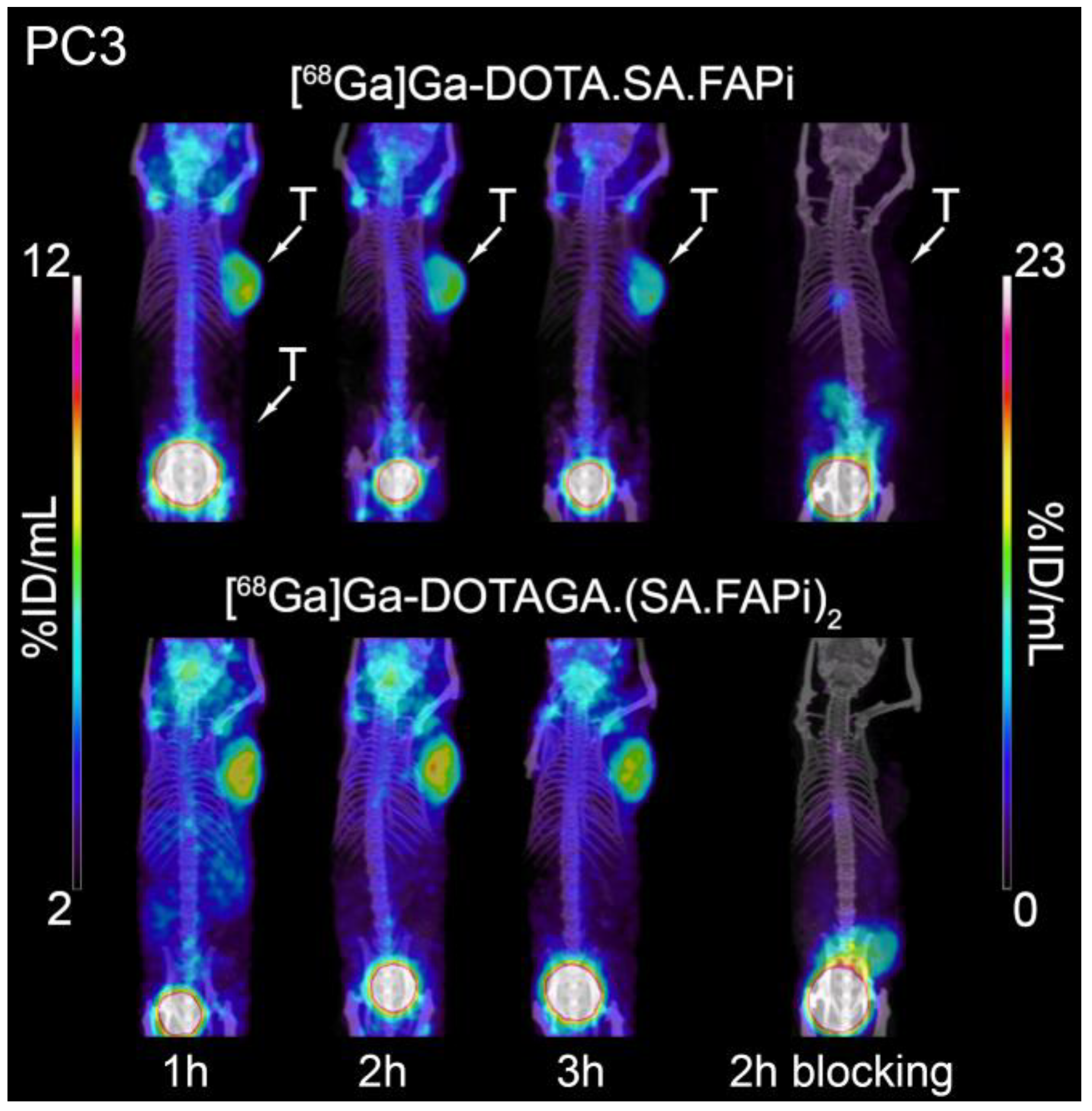 Molecules 29 03093 g008