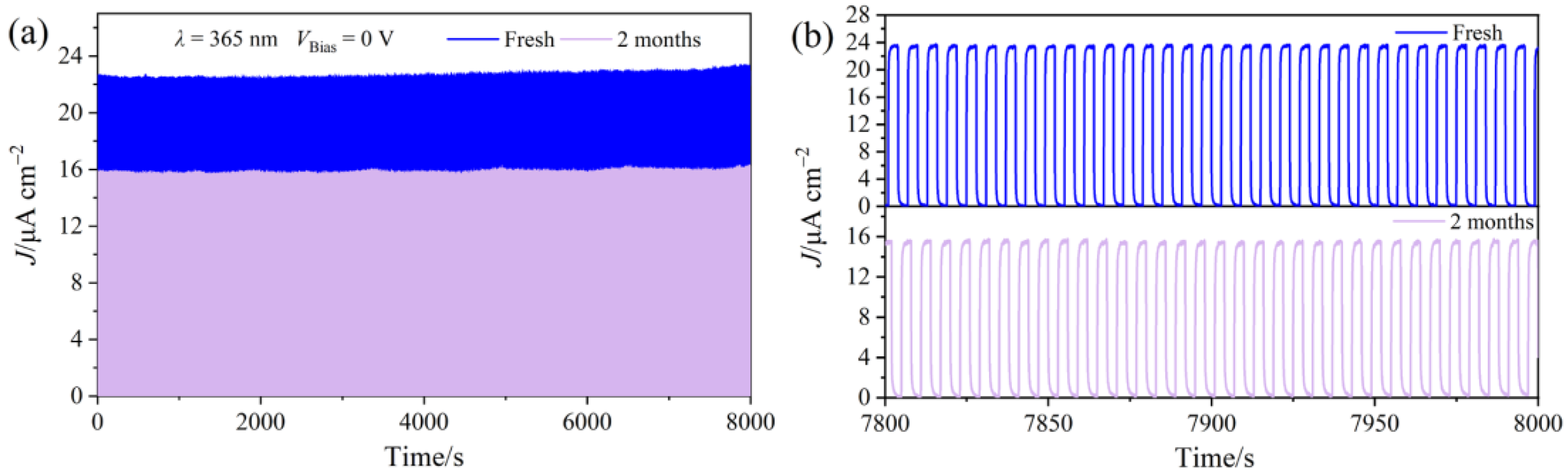 Molecules 29 03096 g007