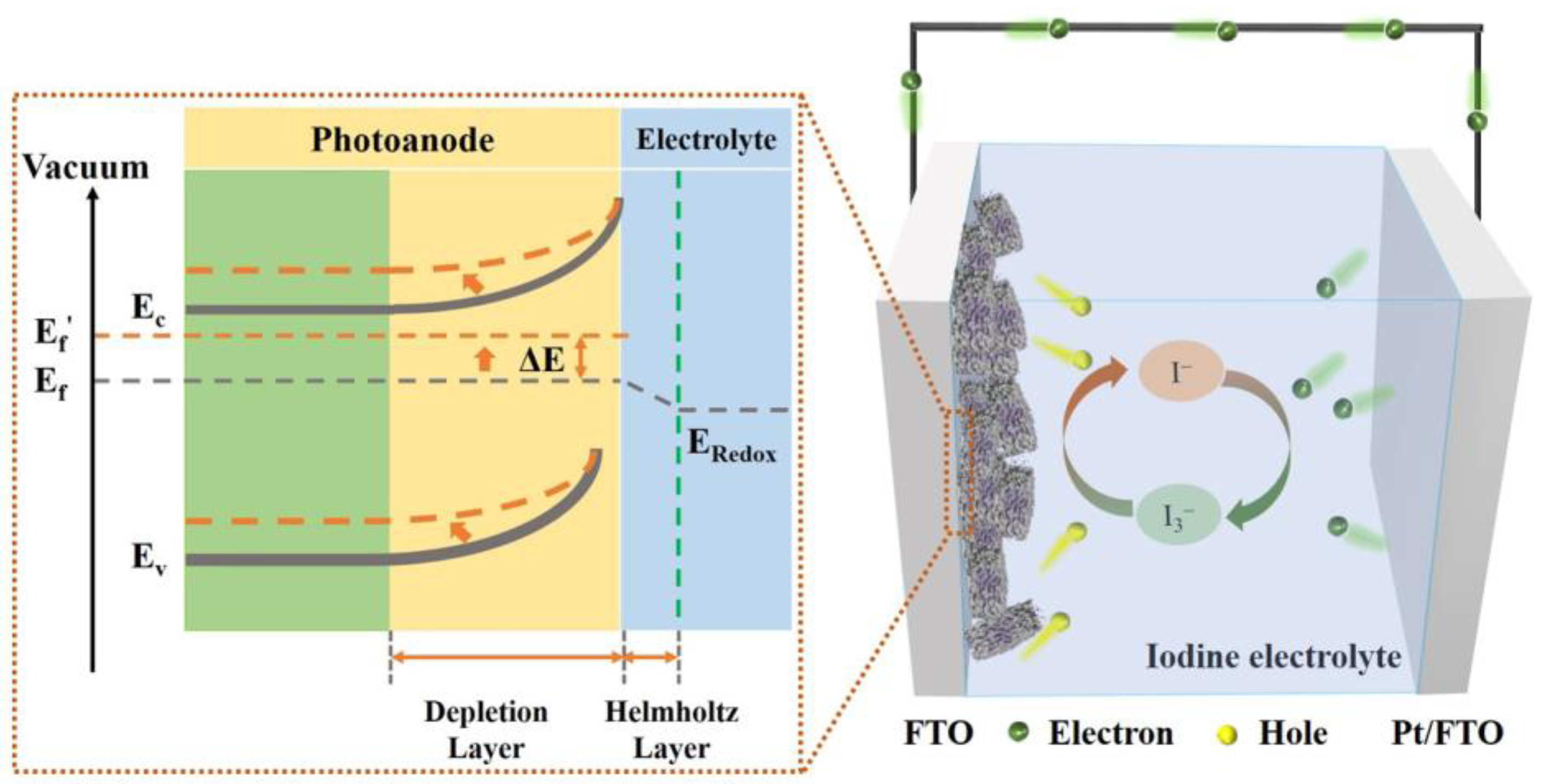Molecules 29 03096 g009