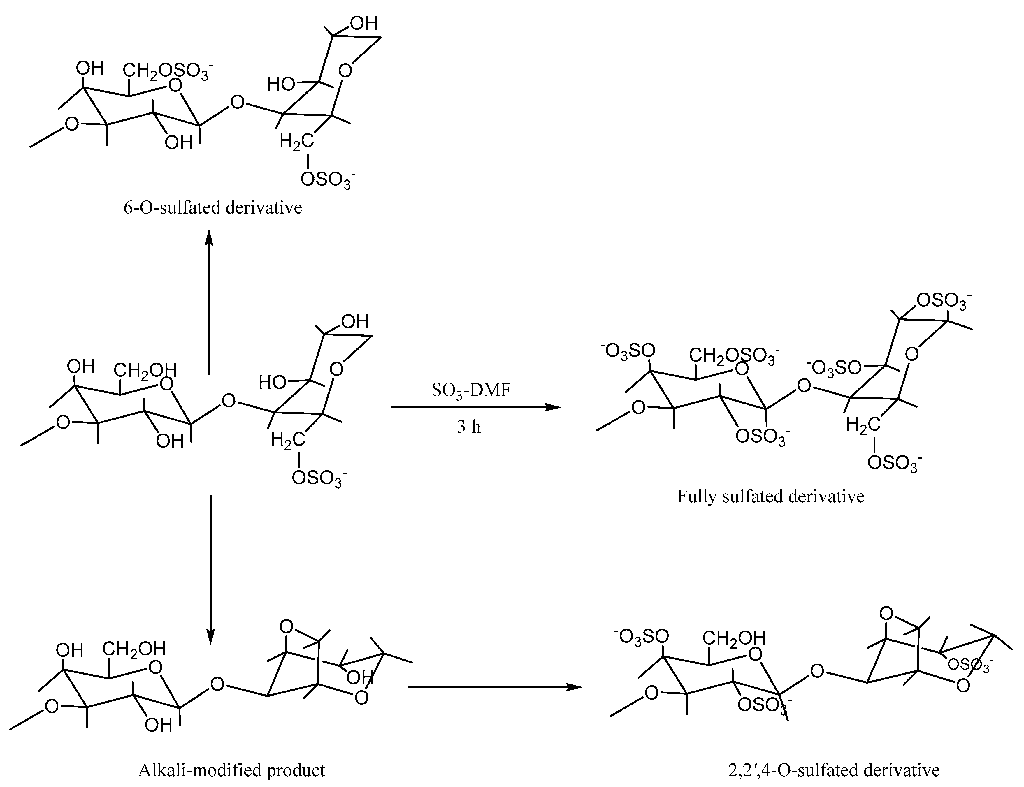 Molecules 29 03105 g003