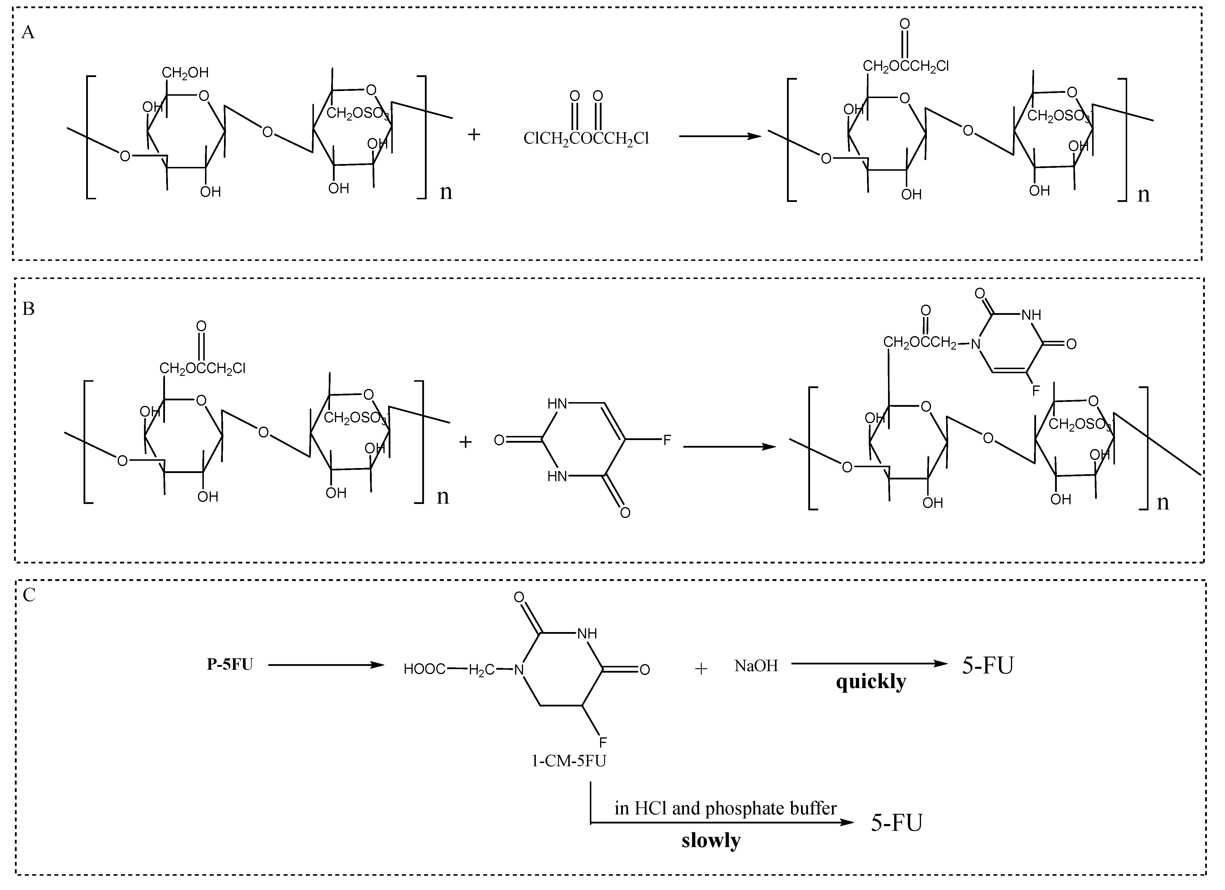 Molecules 29 03105 g004