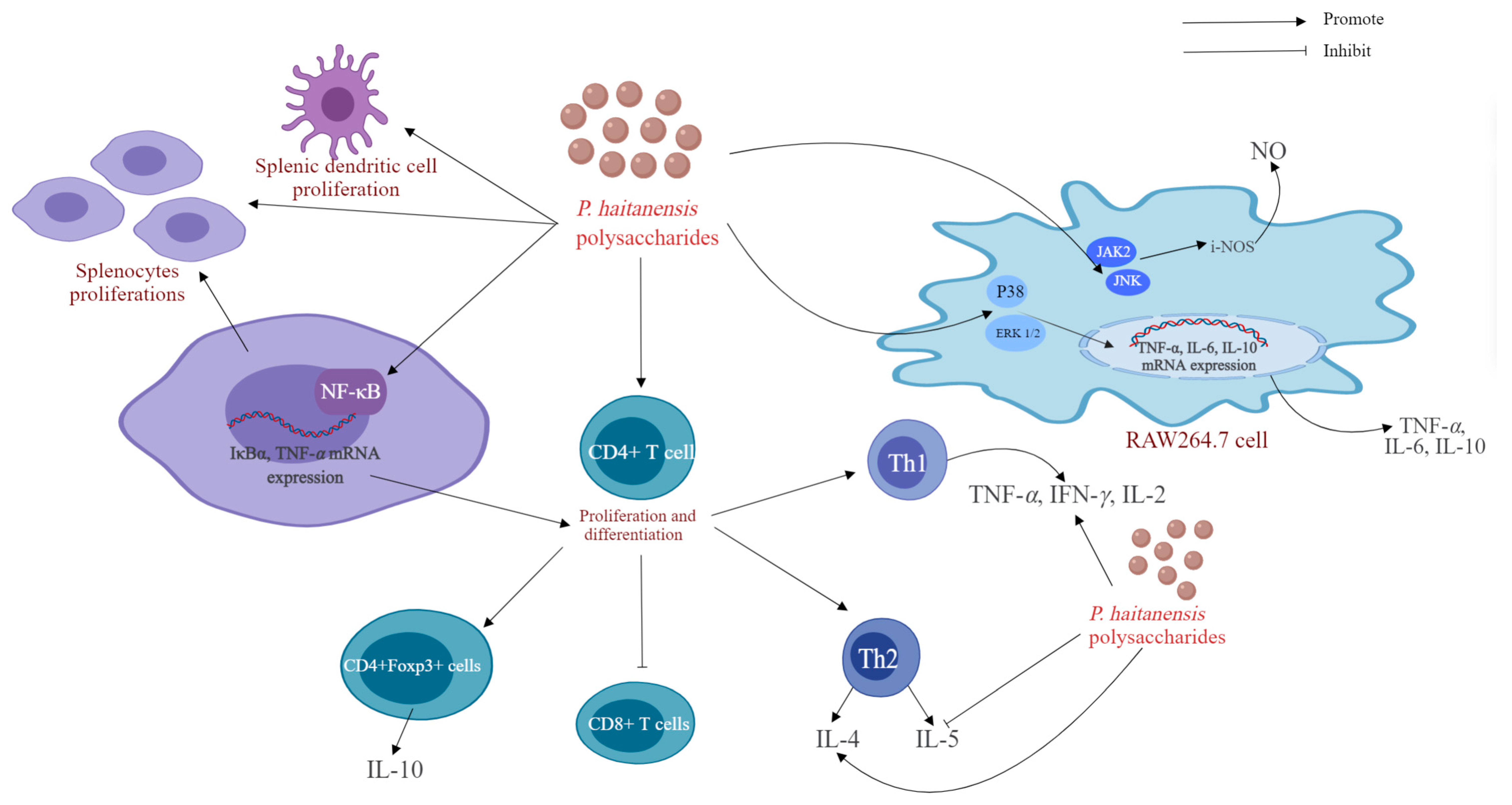 Molecules 29 03105 g005