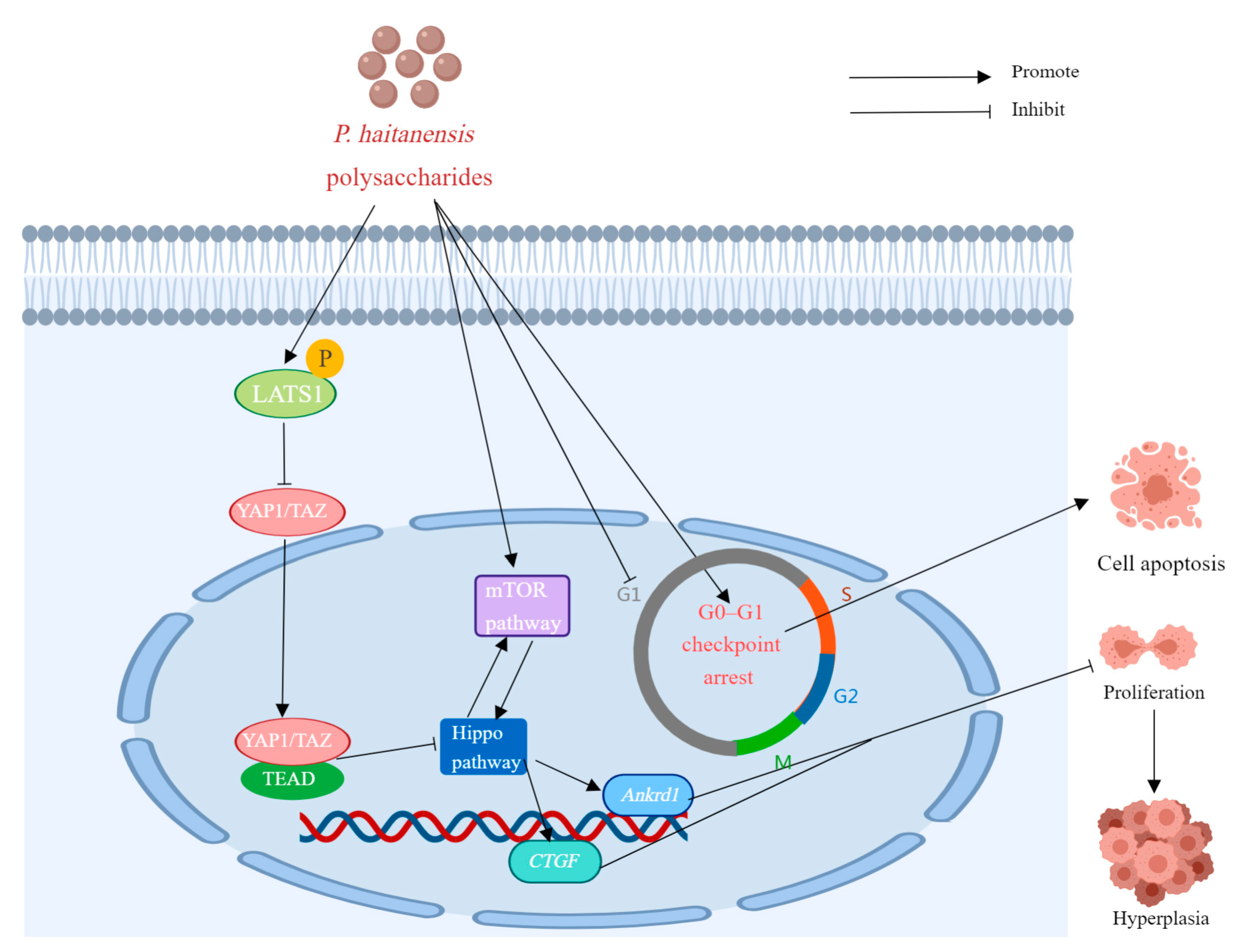Molecules 29 03105 g007