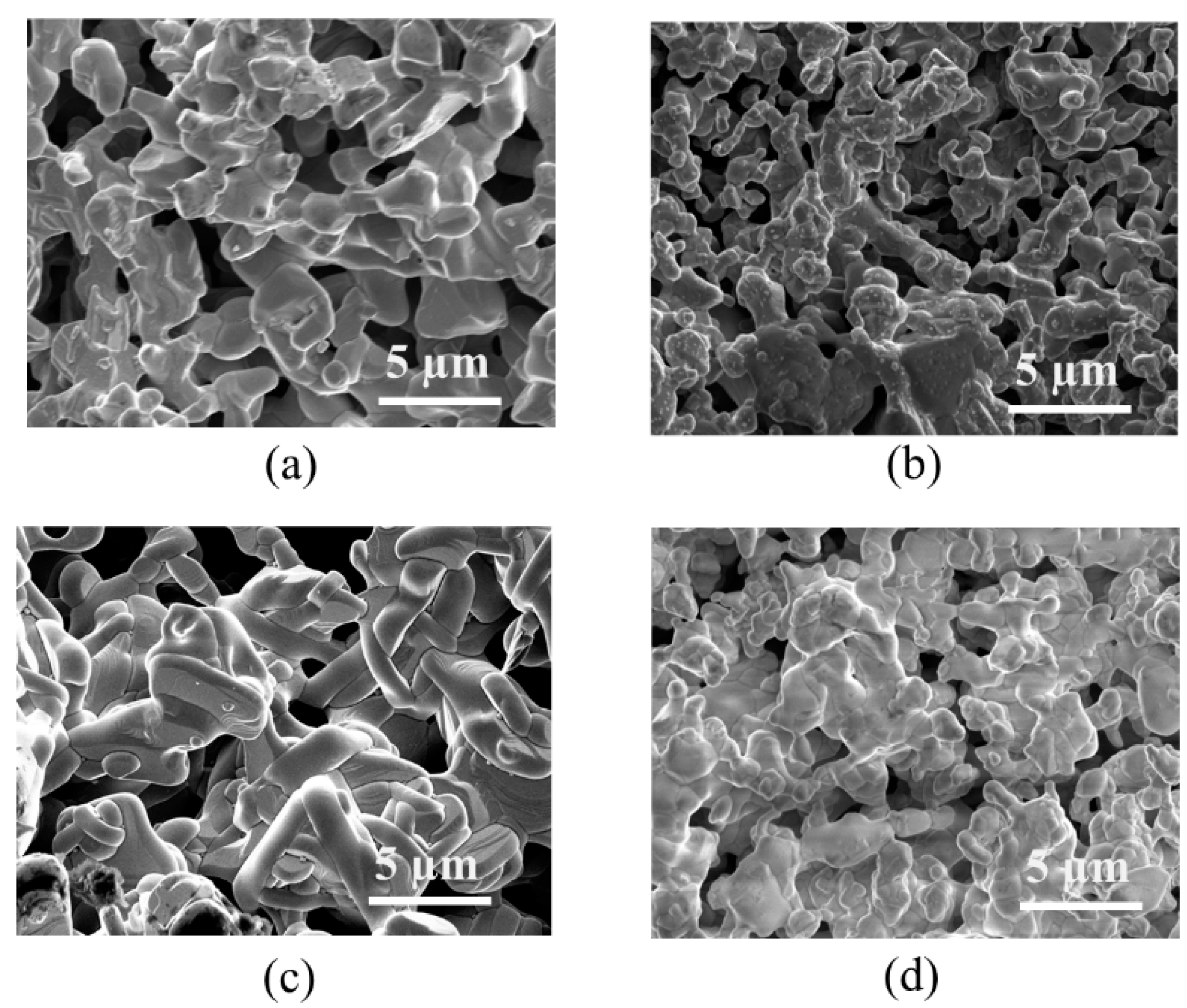 Molecules 29 03107 g003 Molecules 29 03107 g003