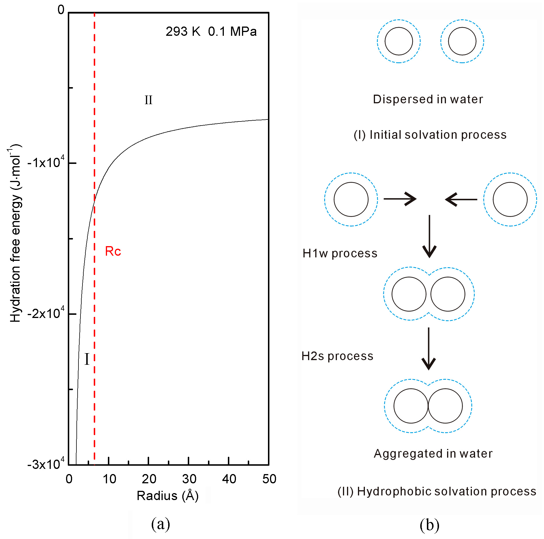 Molecules 29 03128 g001