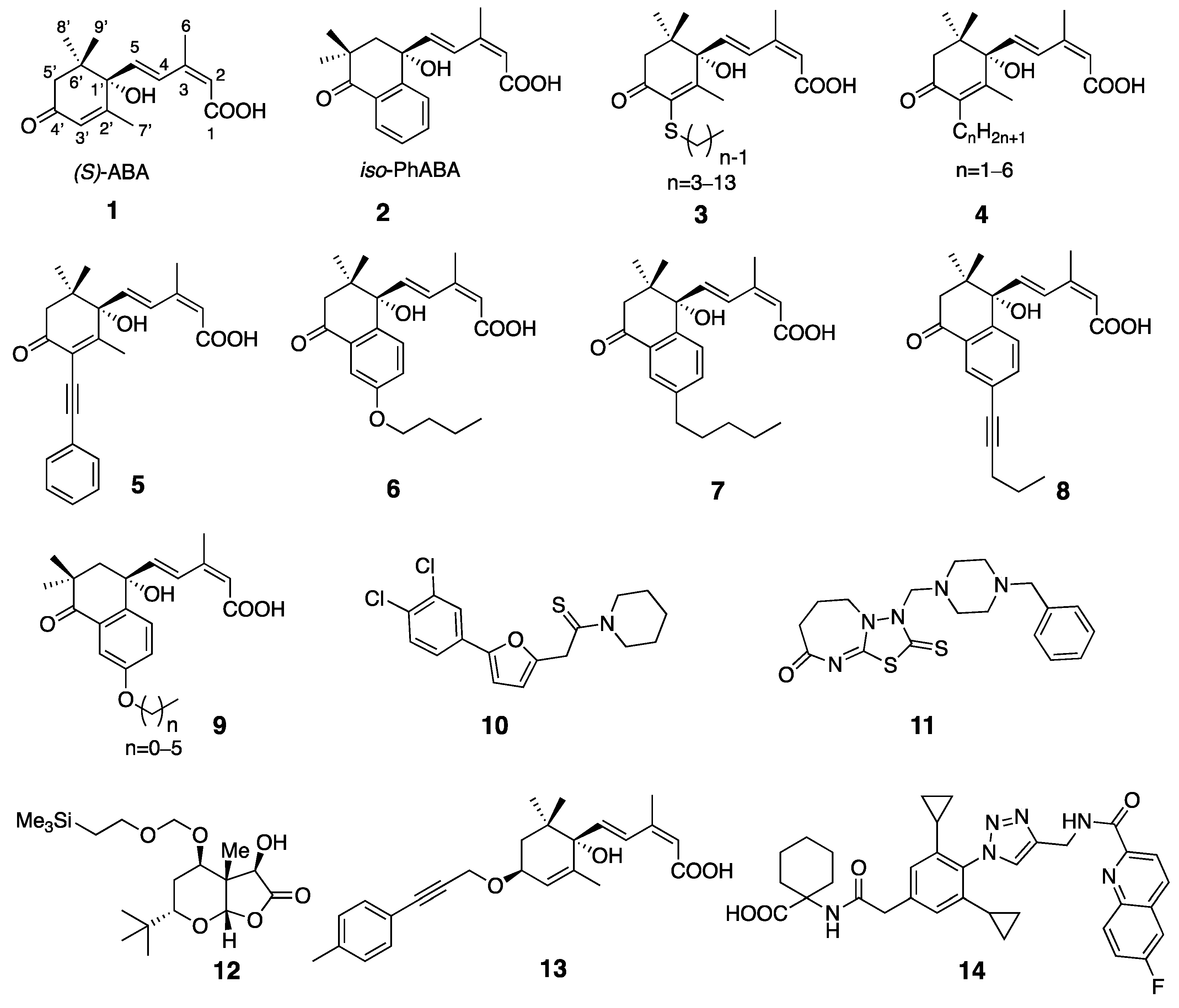Molecules 29 03129 g001