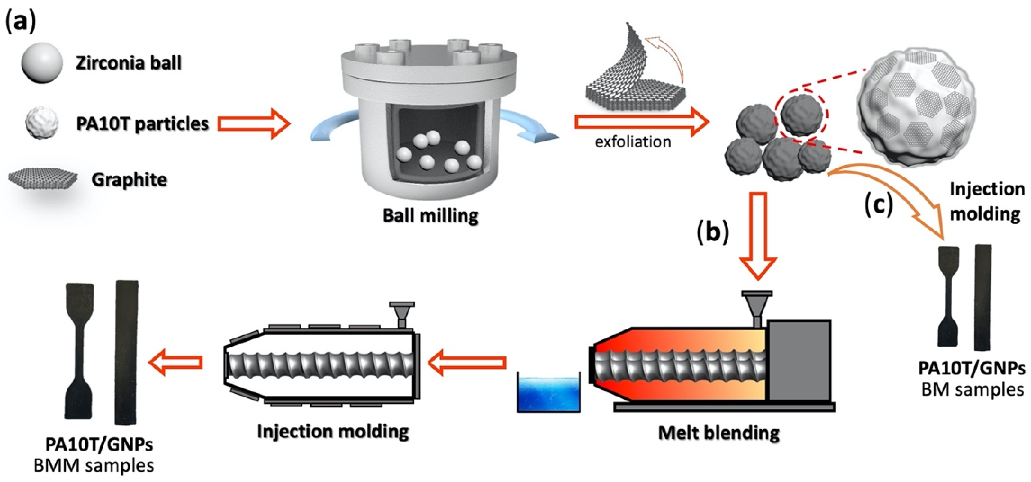 Molecules 29 03141 g001