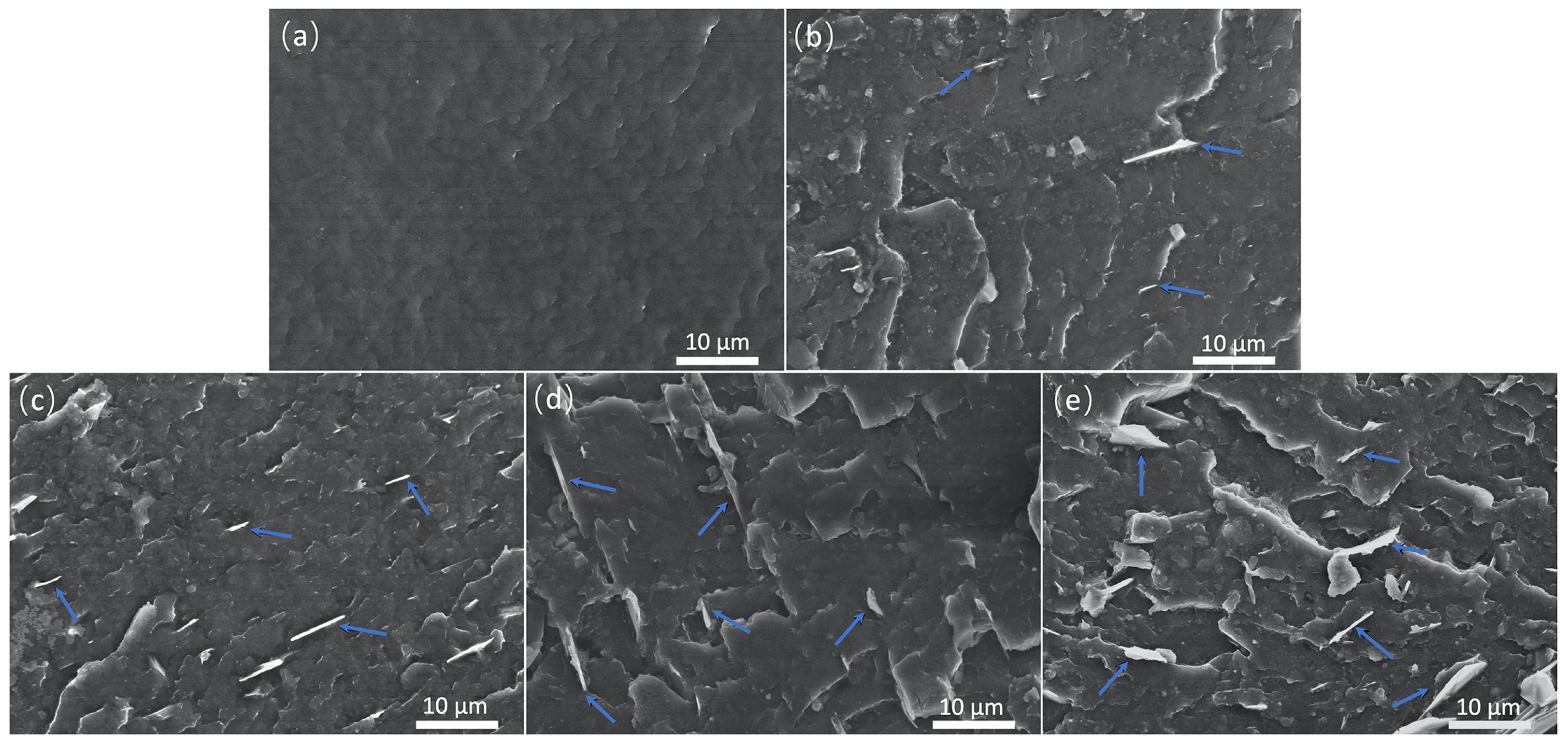 Molecules 29 03141 g003