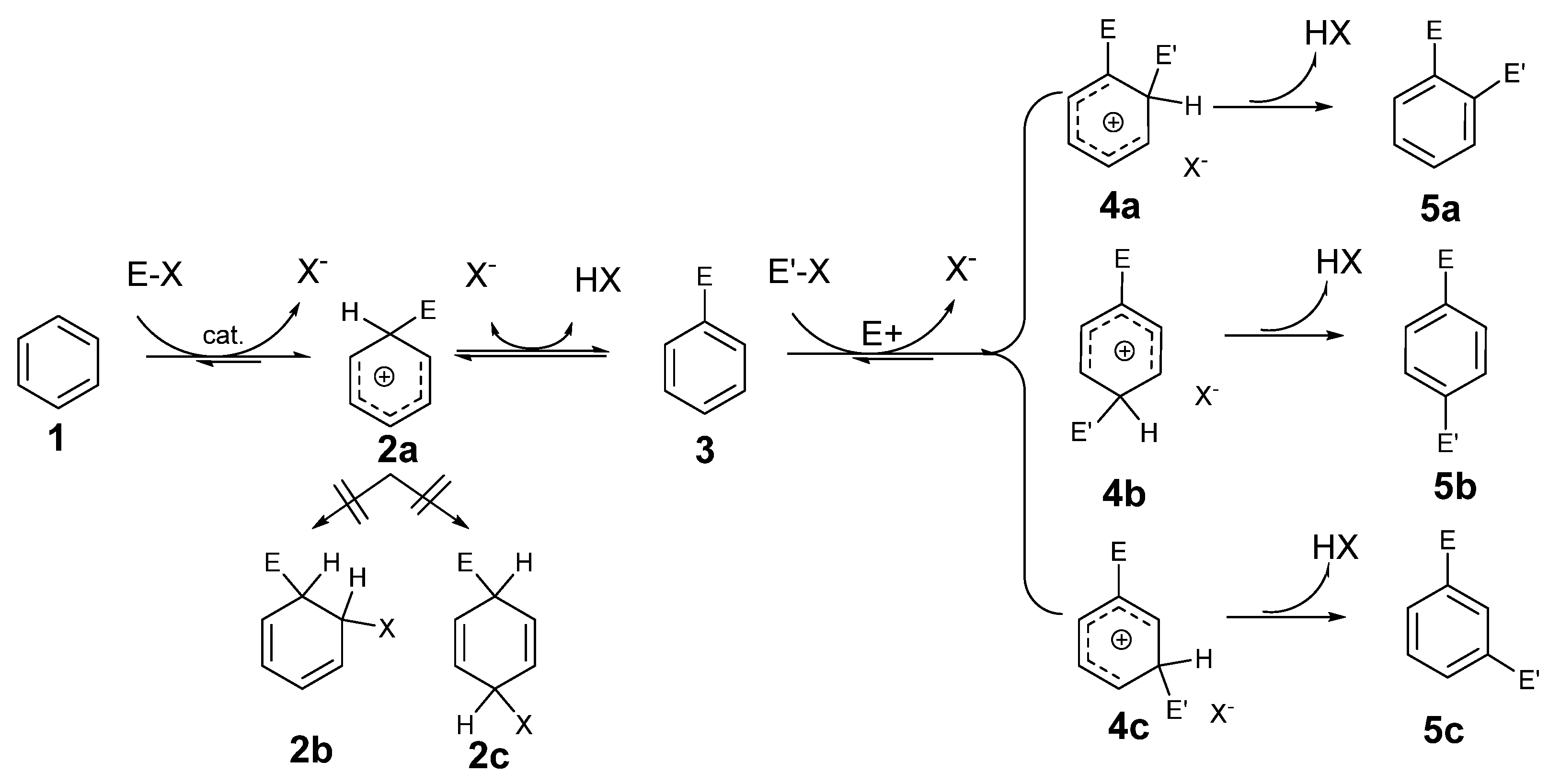 Molecules 29 03151 sch001 Molecules 29 03151 sch001