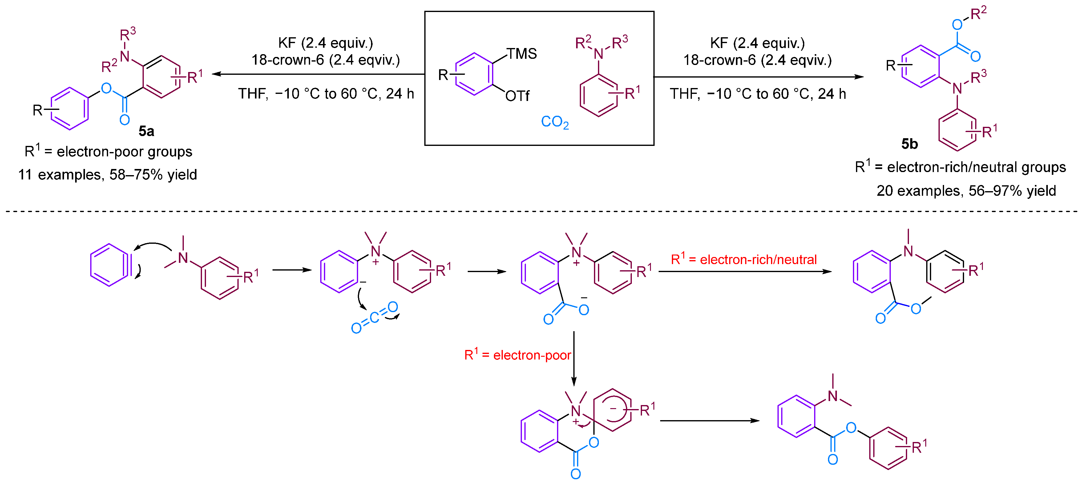 Molecules 29 03152 g007