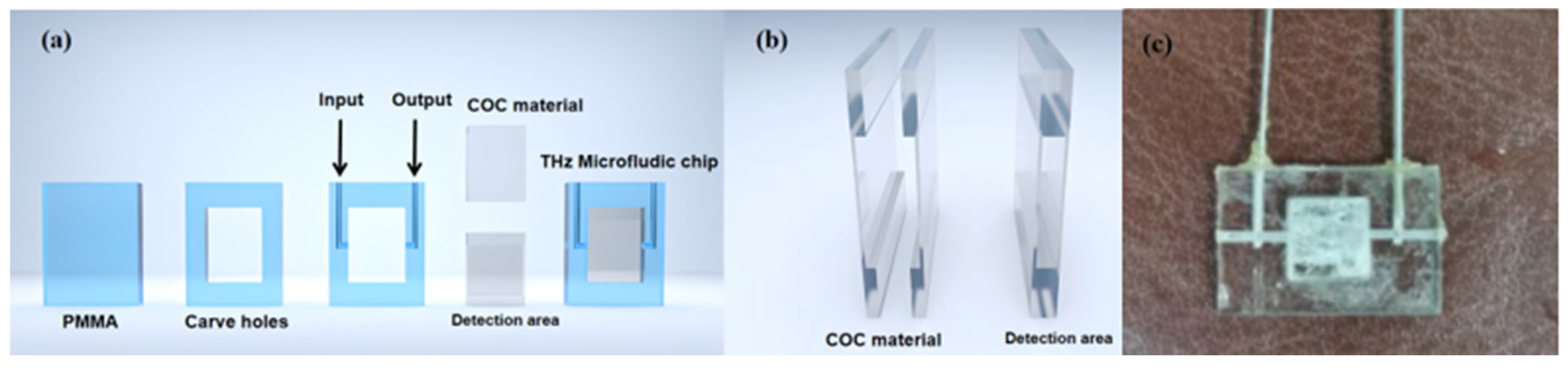 Molecules 29 03154 g011
