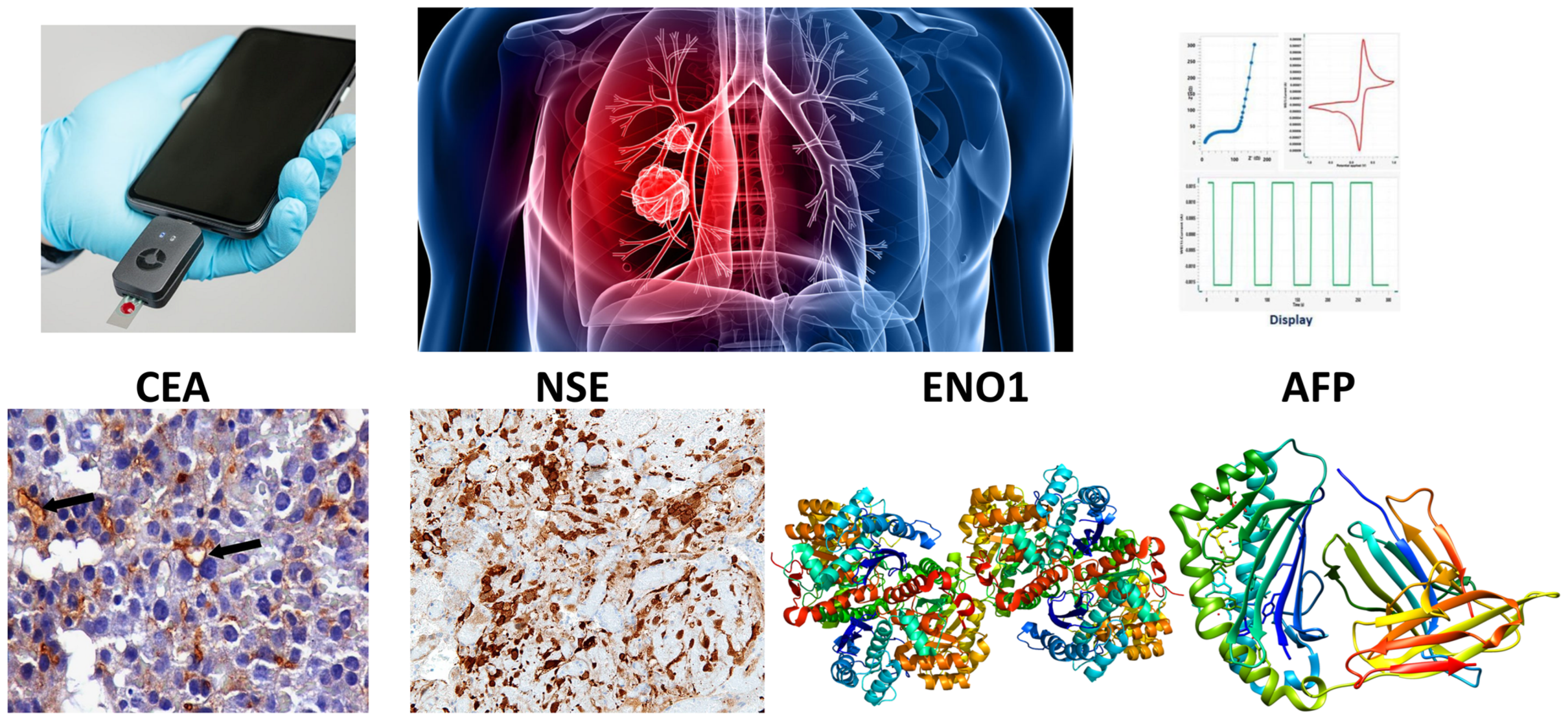 Molecules 29 03156 g001