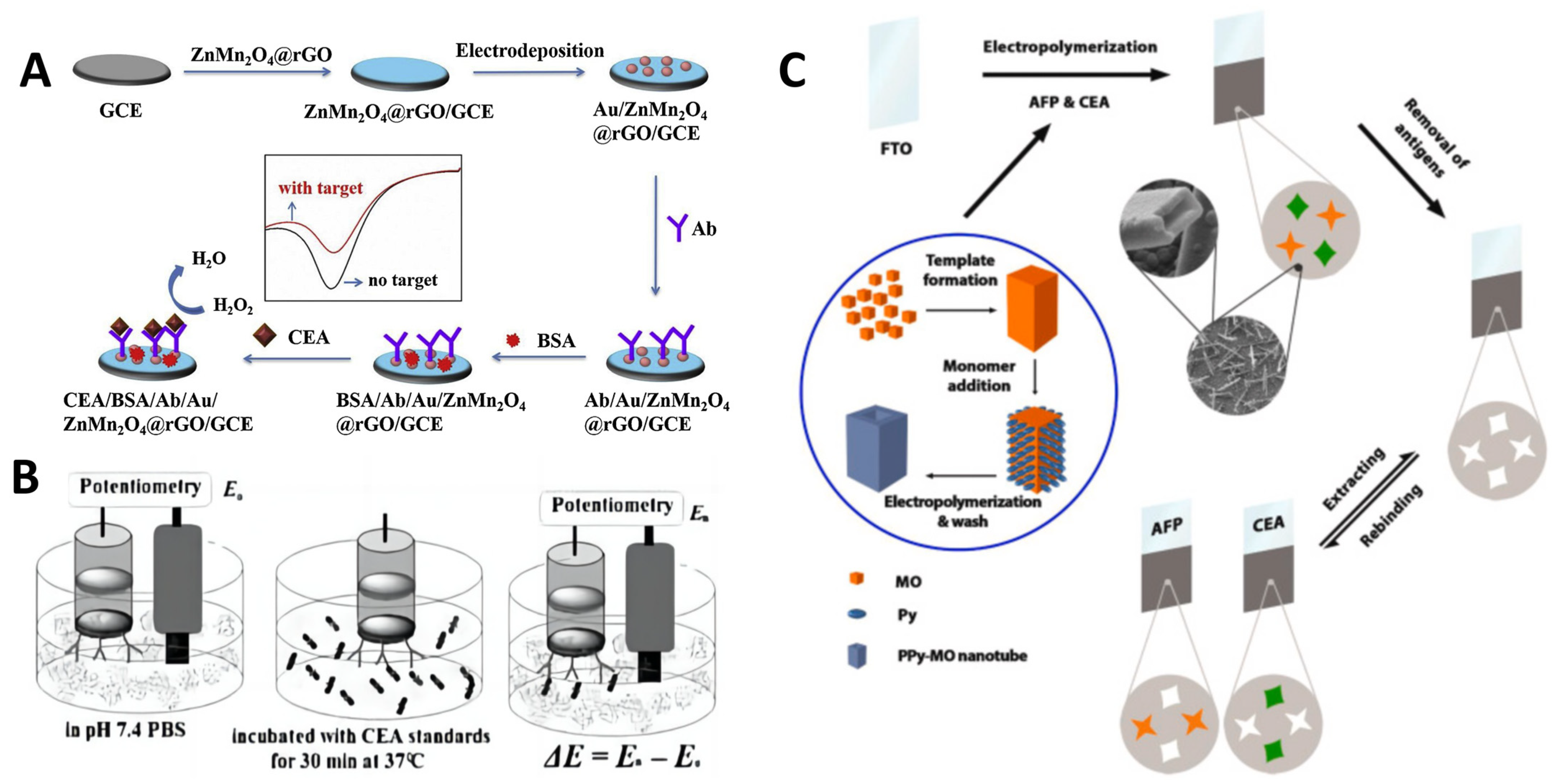 Molecules 29 03156 g002
