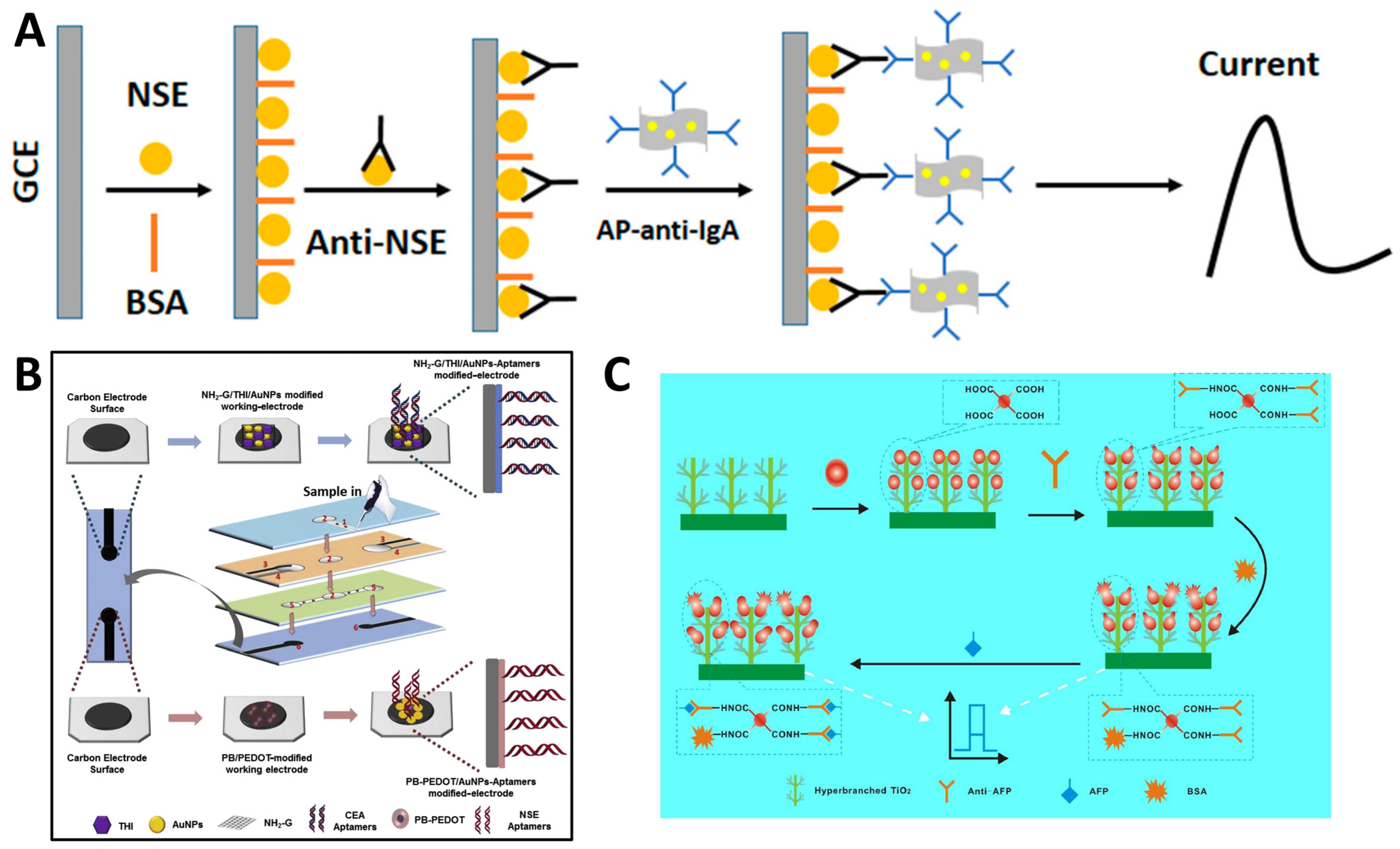 Molecules 29 03156 g003