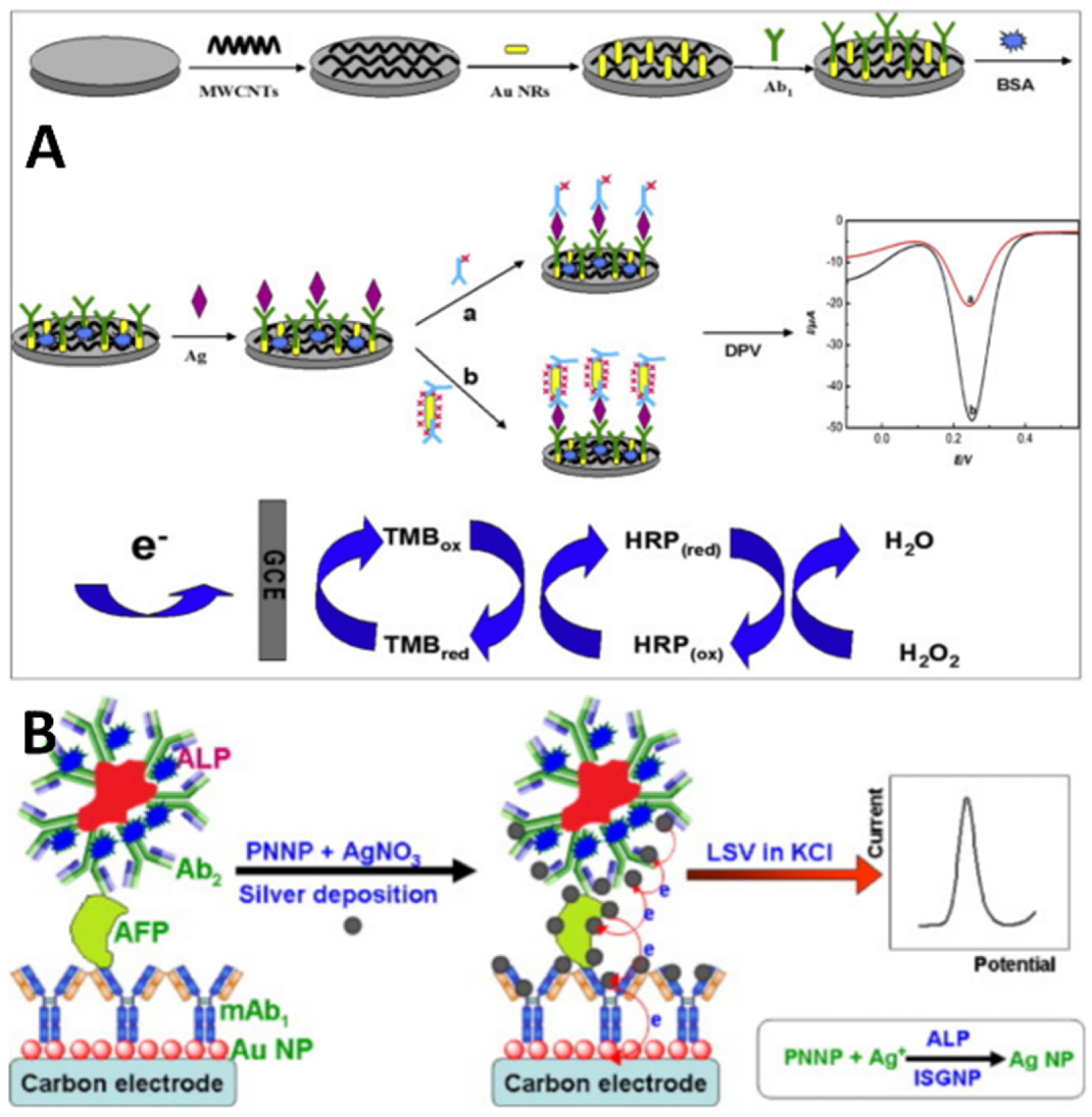 Molecules 29 03156 g004