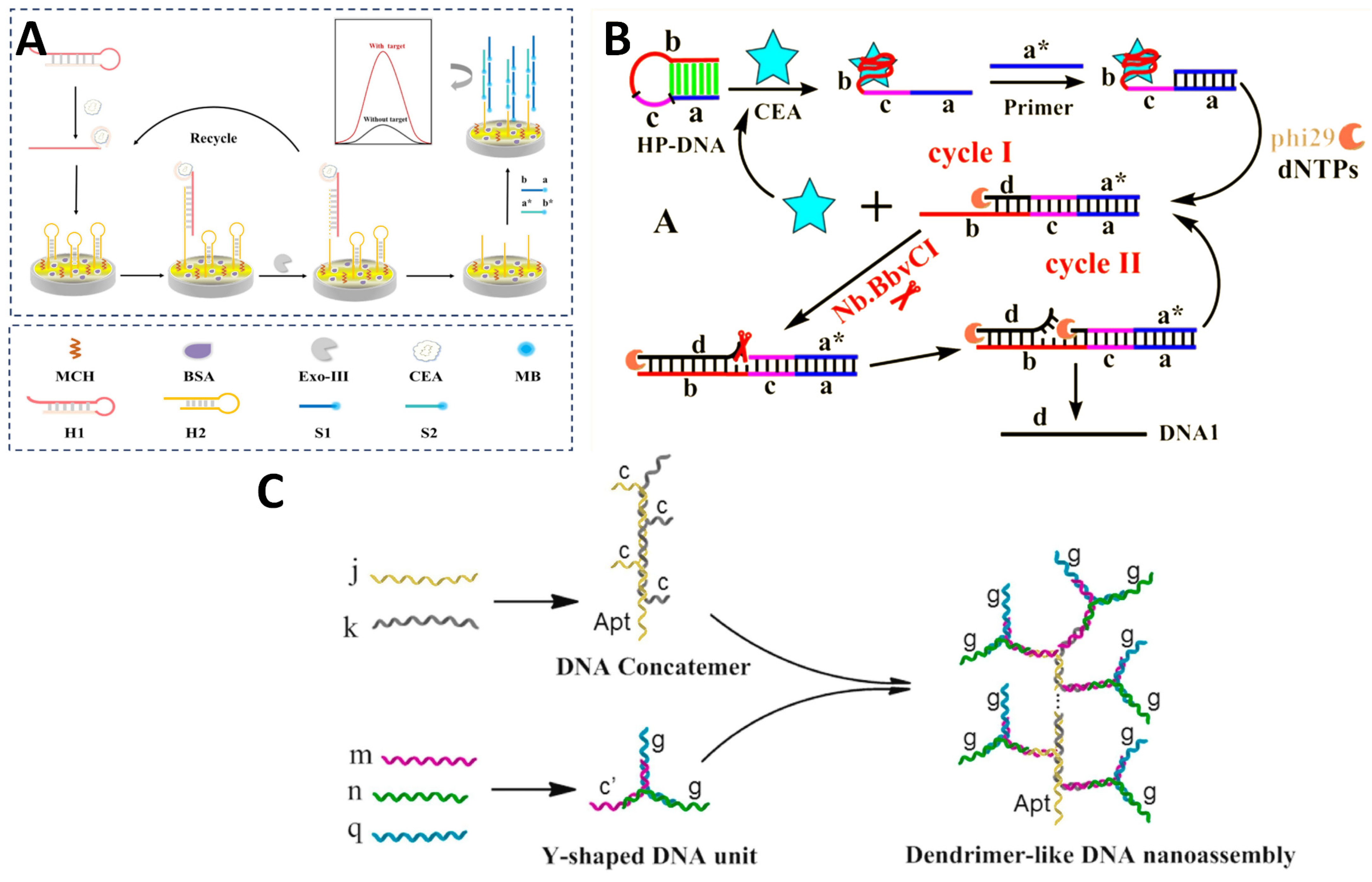 Molecules 29 03156 g005