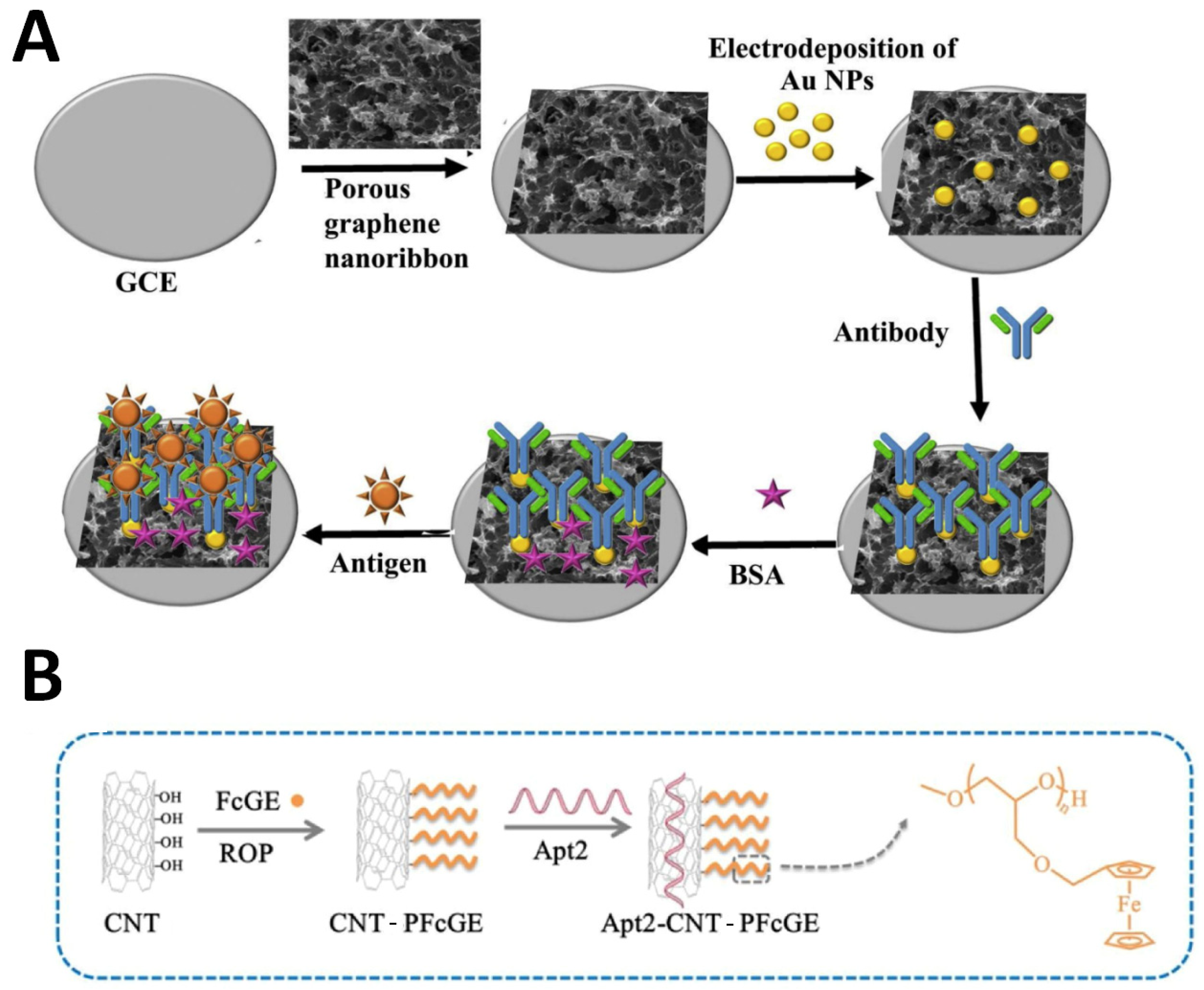Molecules 29 03156 g006