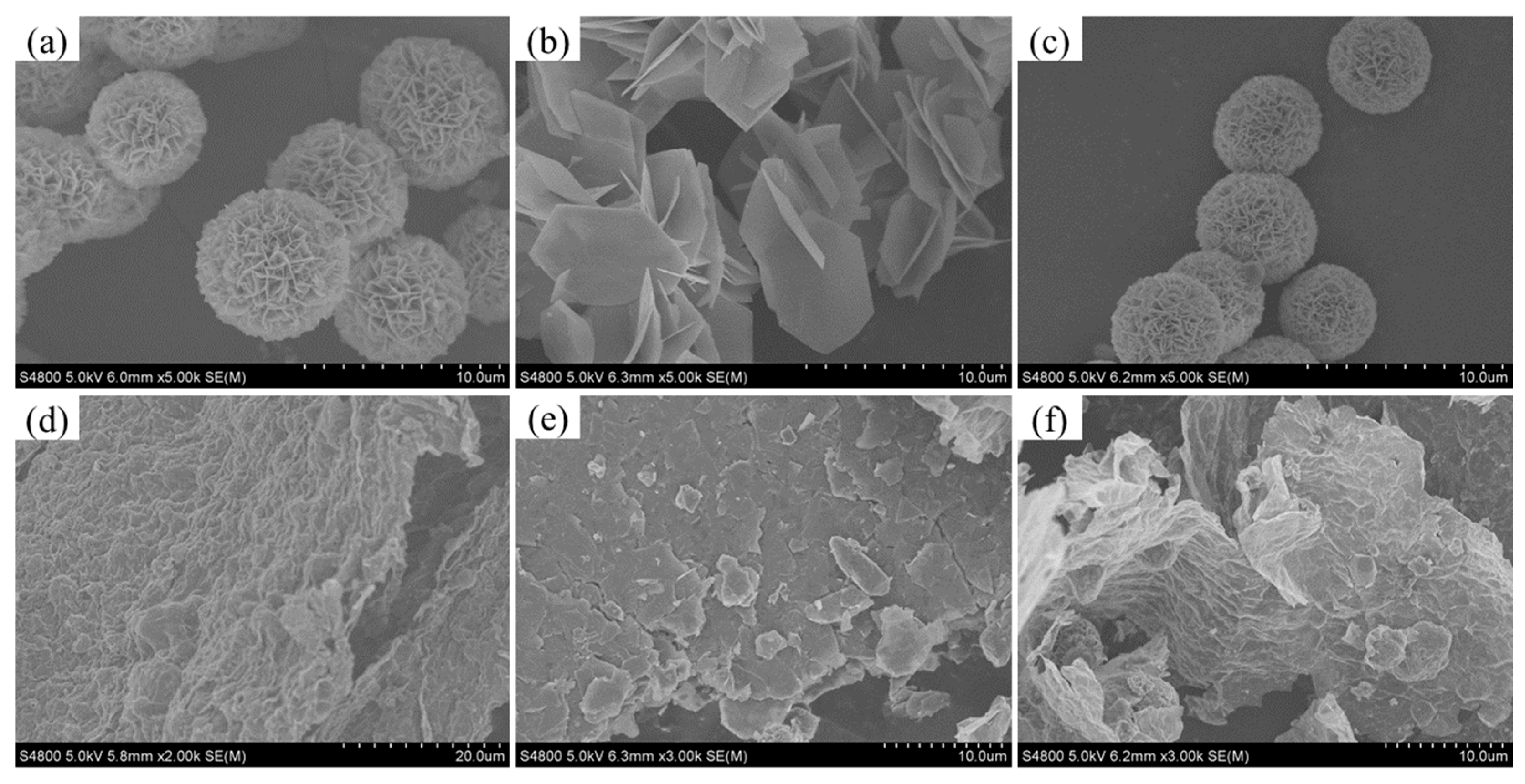 Molecules 29 03157 g002
