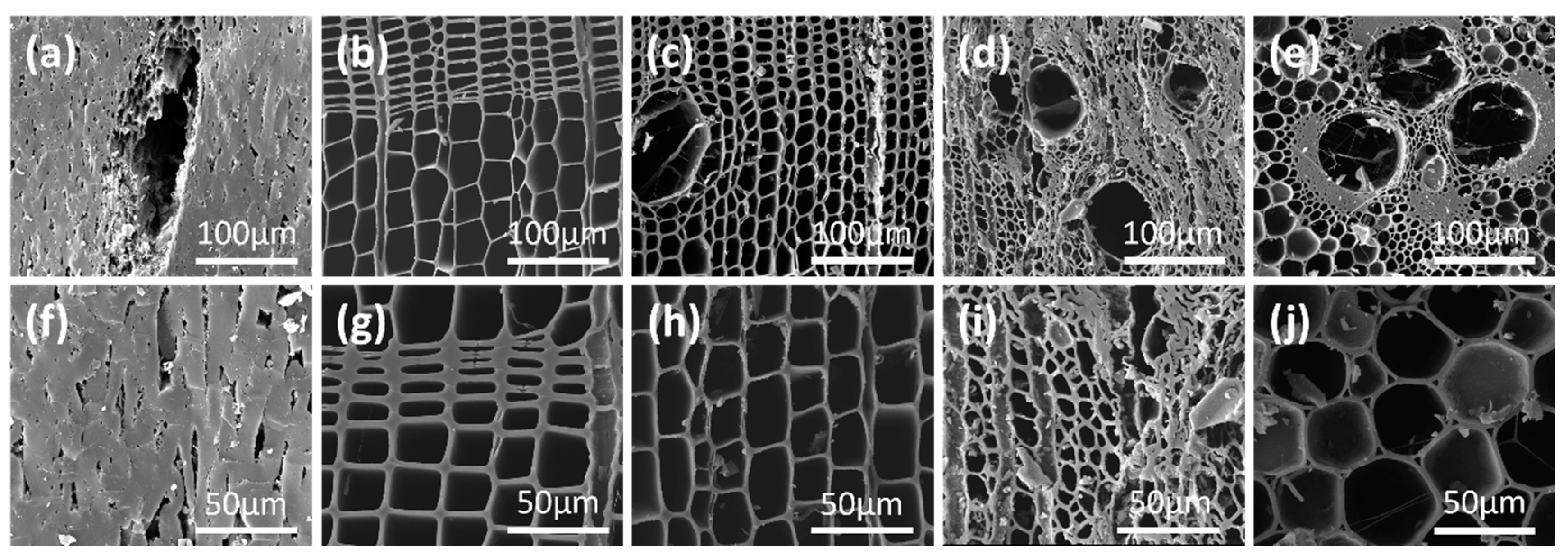 Molecules 29 03197 g001
