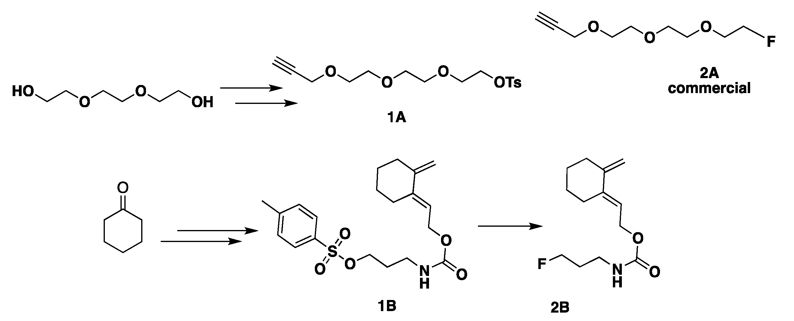 Molecules 29 03198 sch002