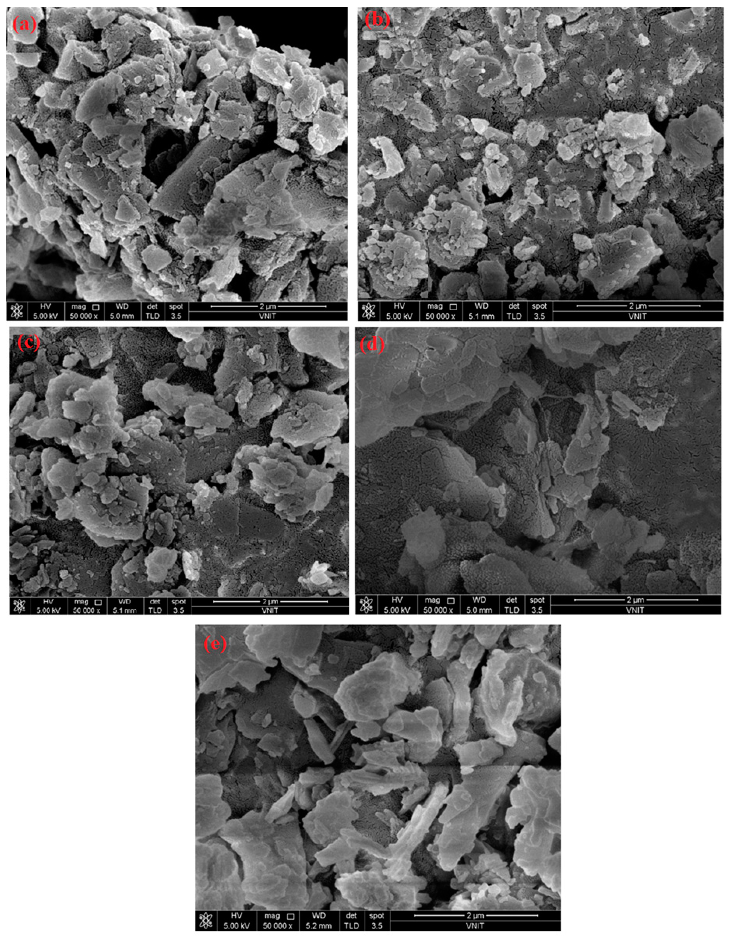 Molecules 29 03200 g002
