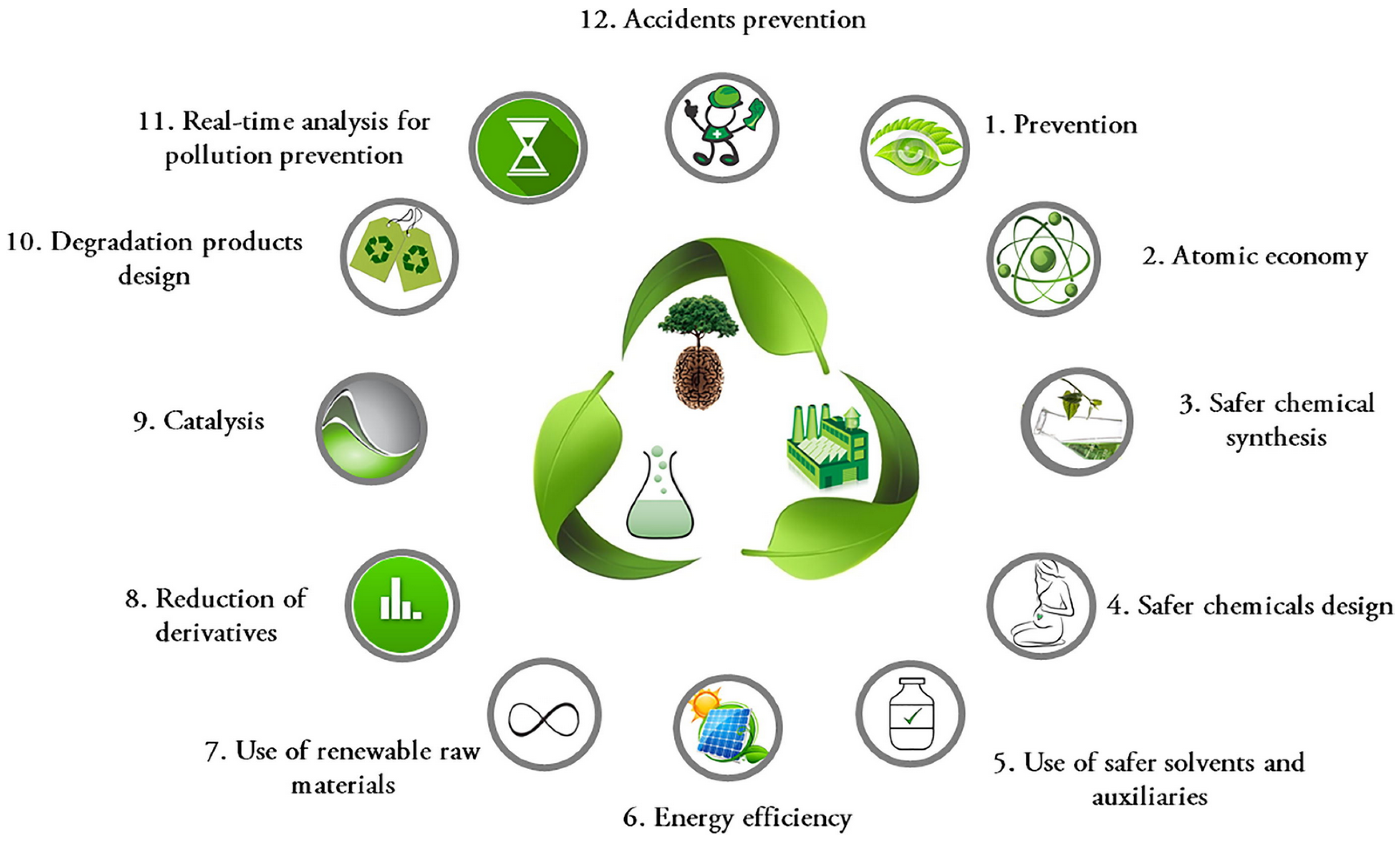 Molecules 29 03205 g001