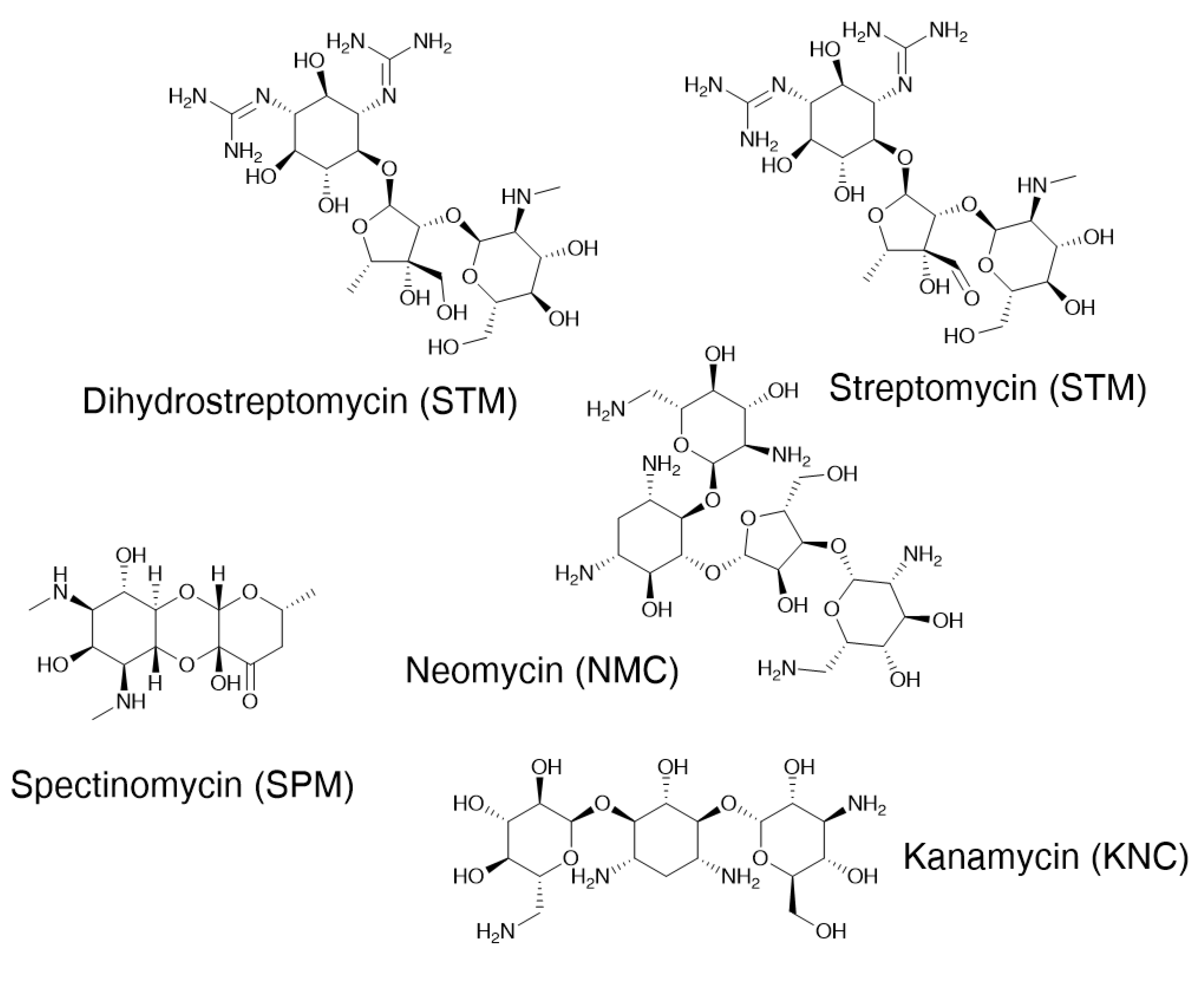 Molecules 29 03210 g006