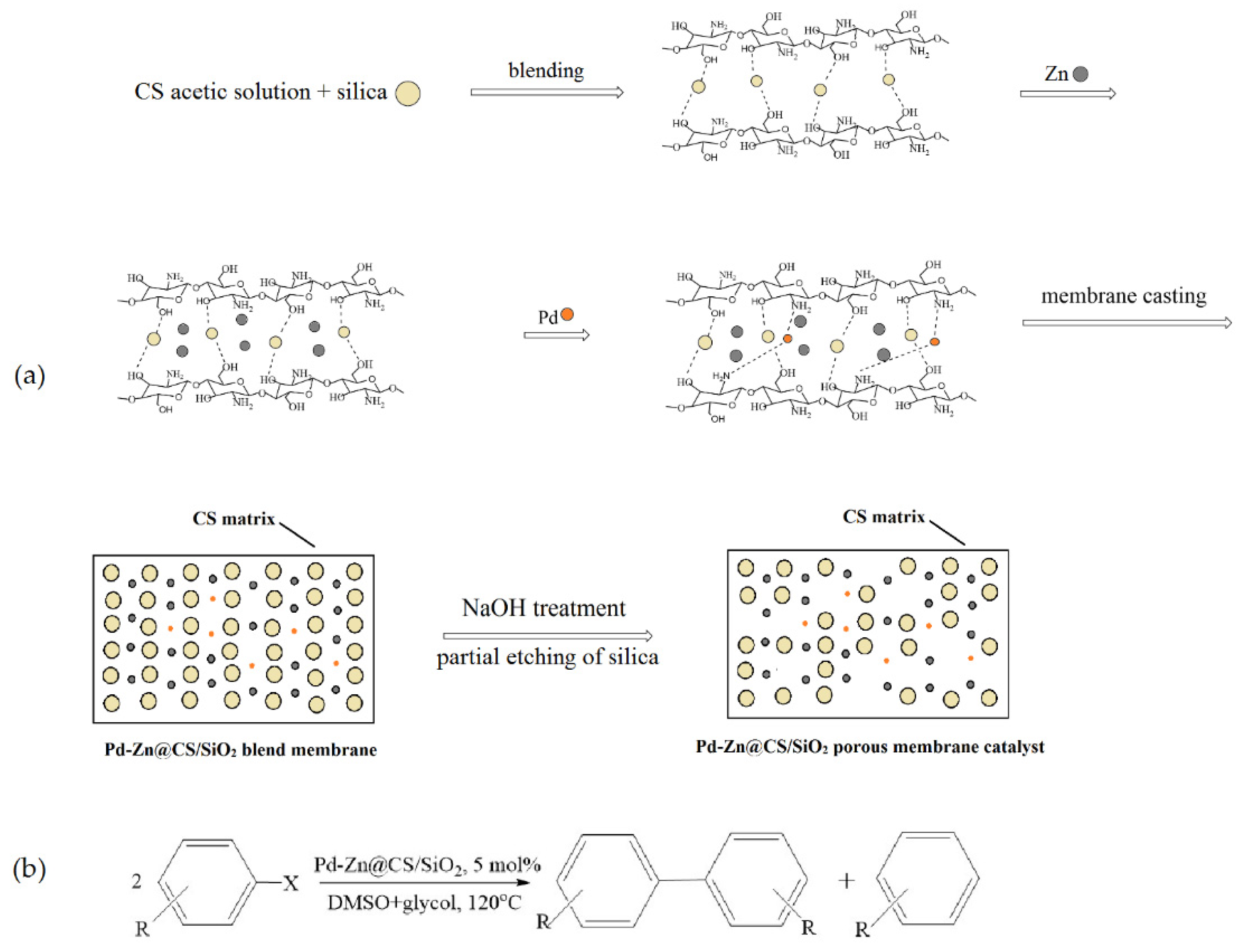 Molecules 29 03214 g011