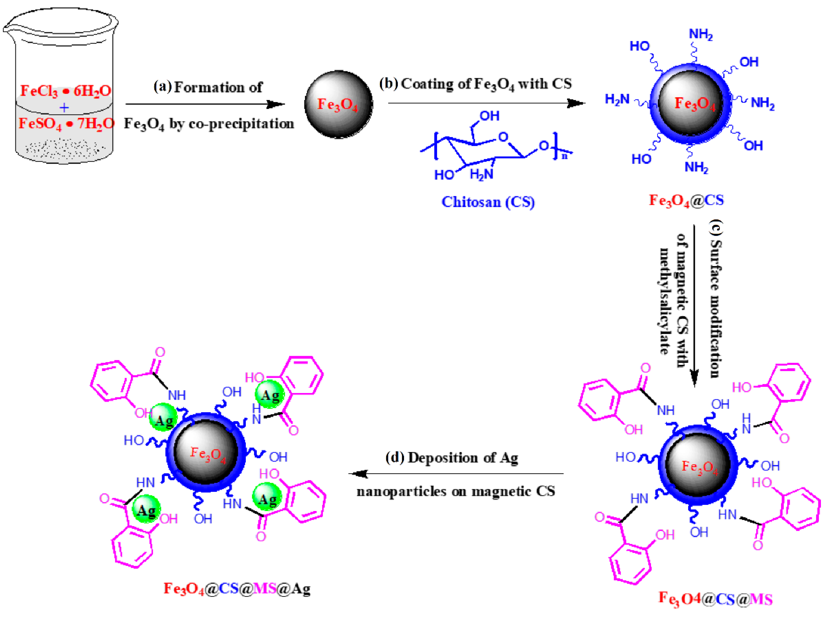 Molecules 29 03214 g019