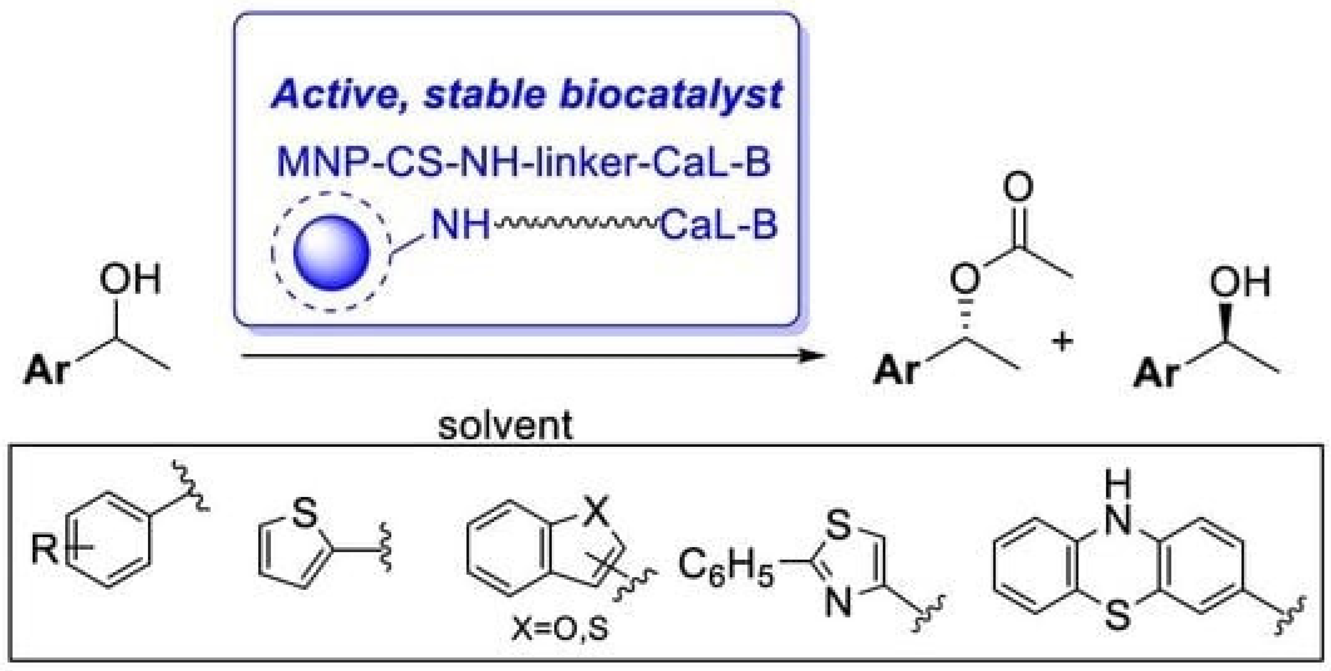Molecules 29 03214 g022