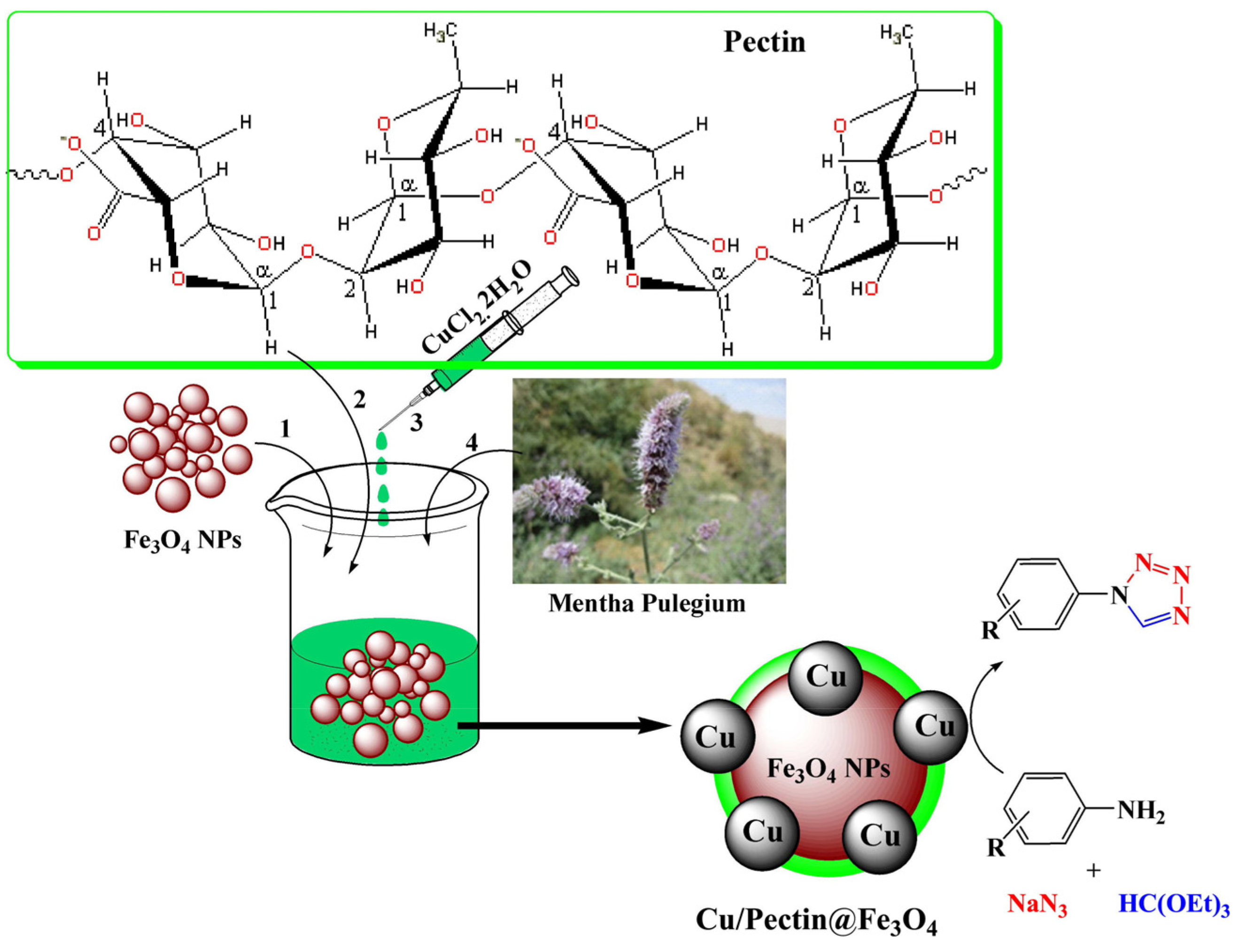 Molecules 29 03214 g032