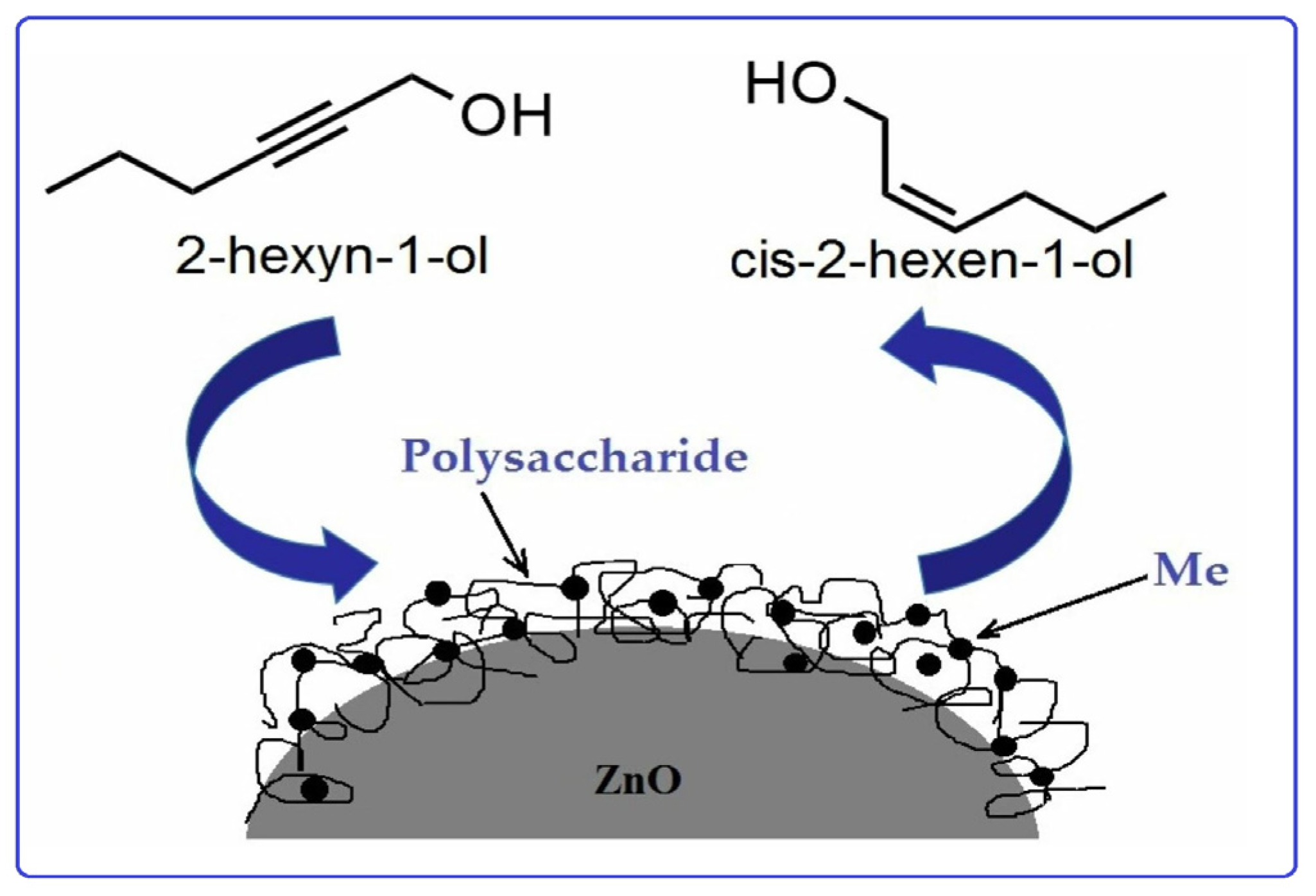 Molecules 29 03214 g046