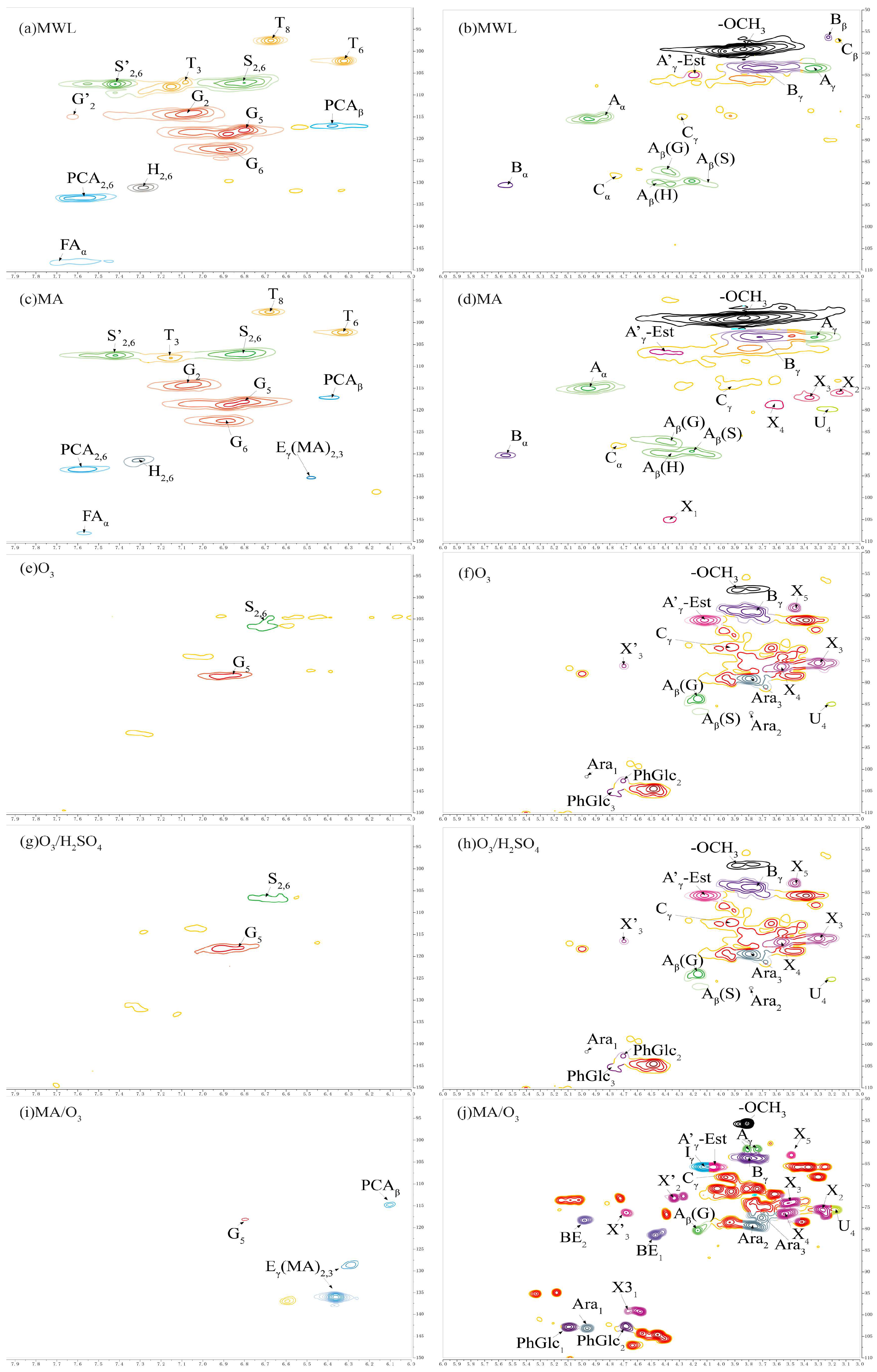 Molecules 29 03228 g006