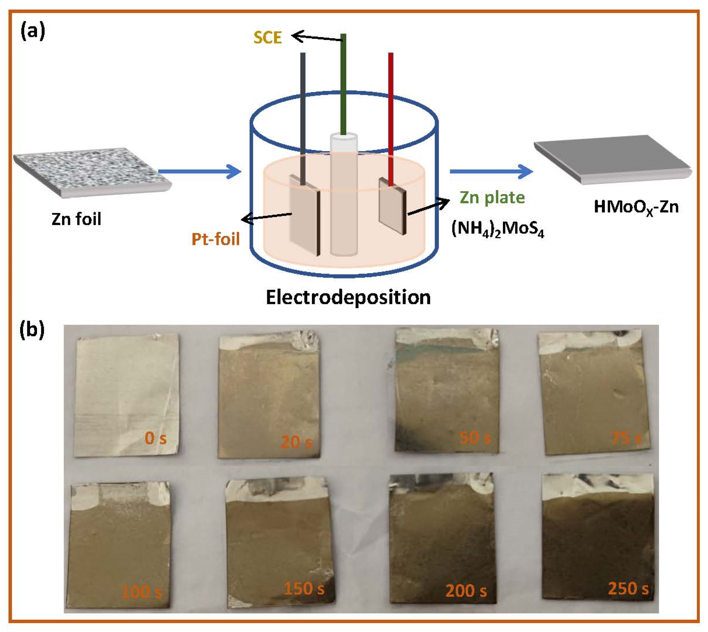 Molecules 29 03229 g001