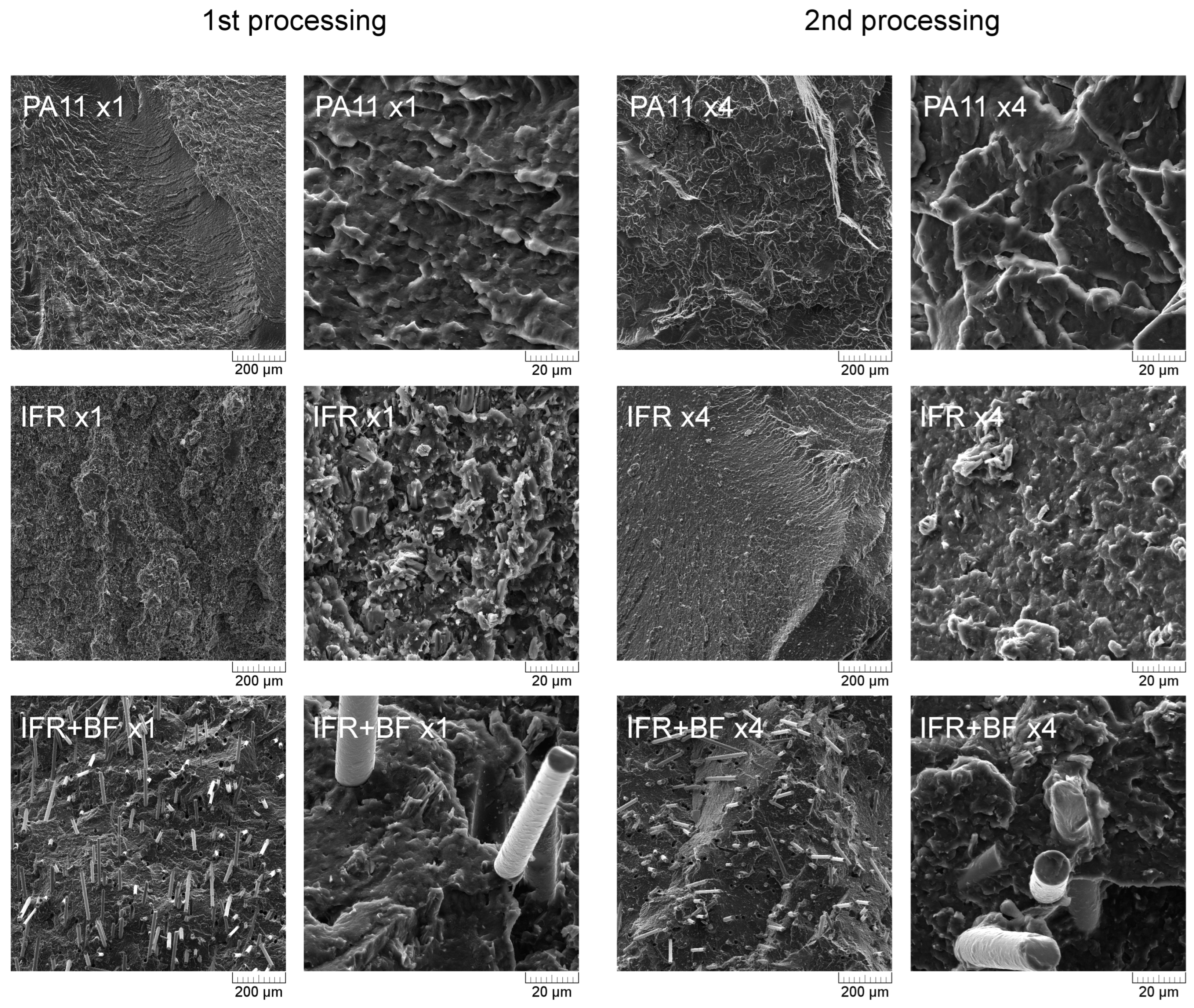 Molecules 29 03233 g002