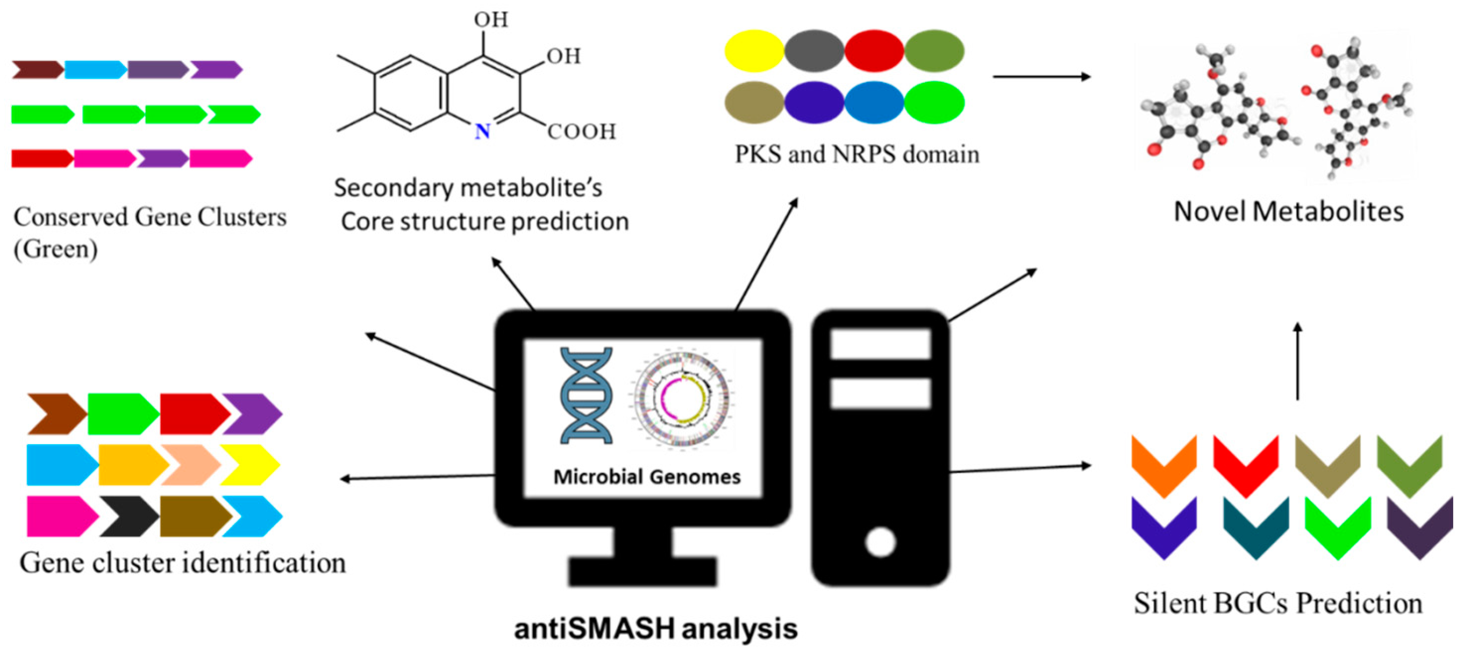 Molecules 29 03237 g002