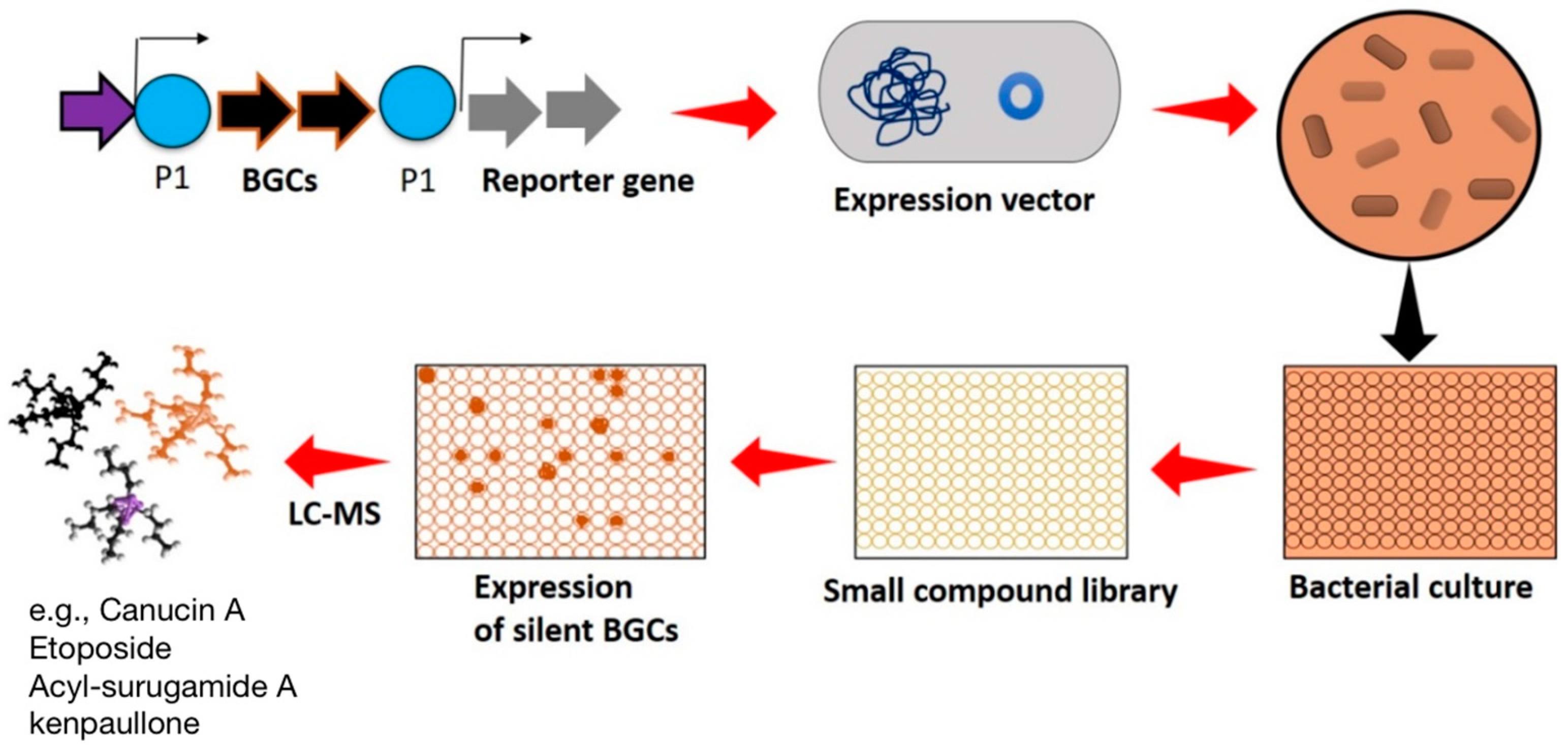 Molecules 29 03237 g003