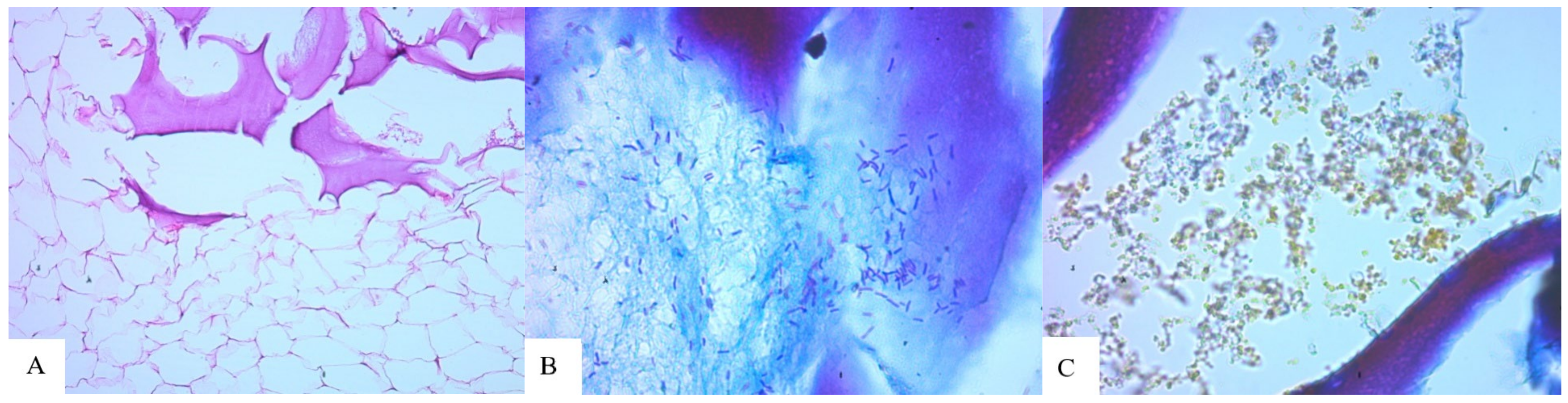 Molecules 29 03247 g007